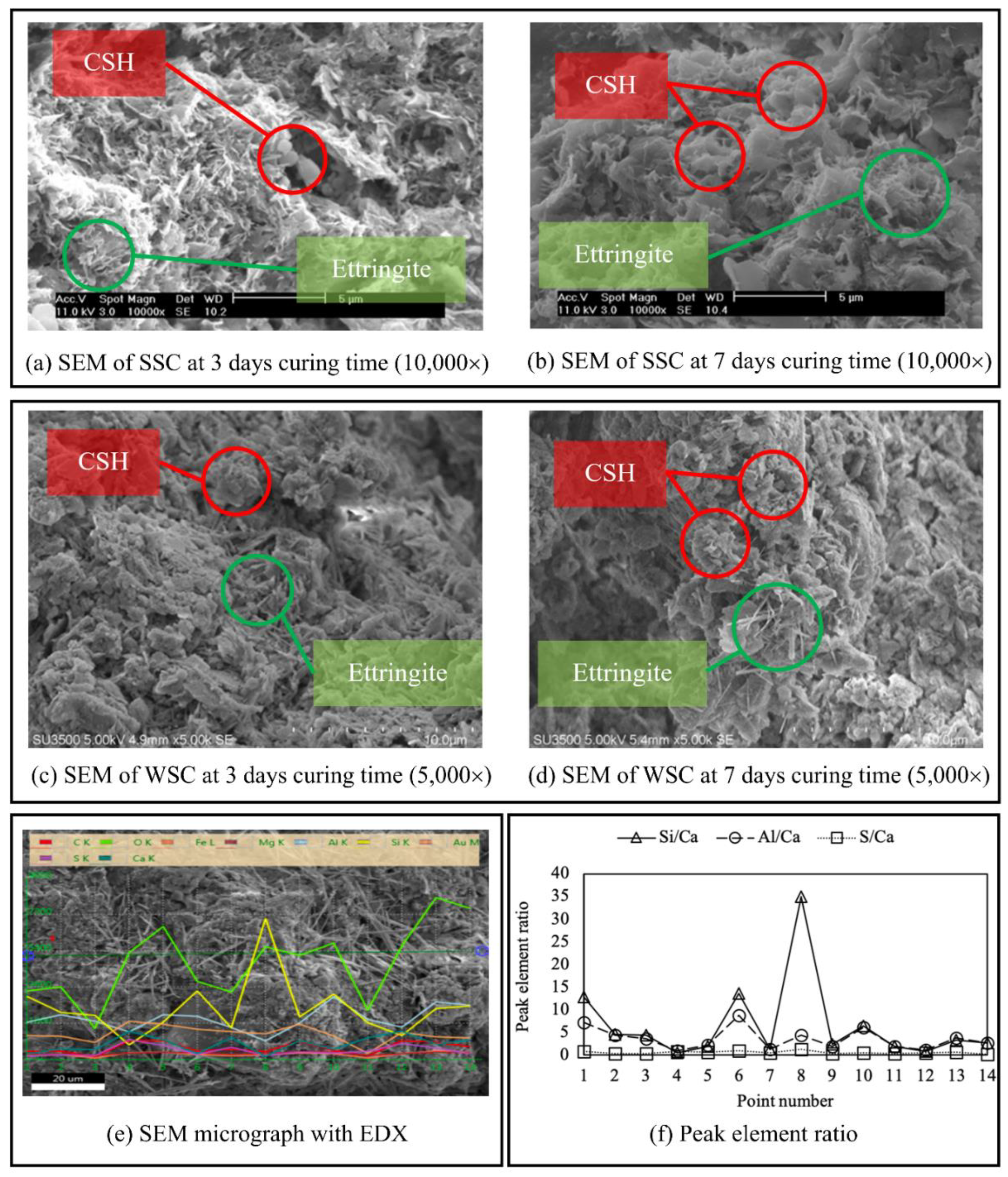 Preprints 144226 g006