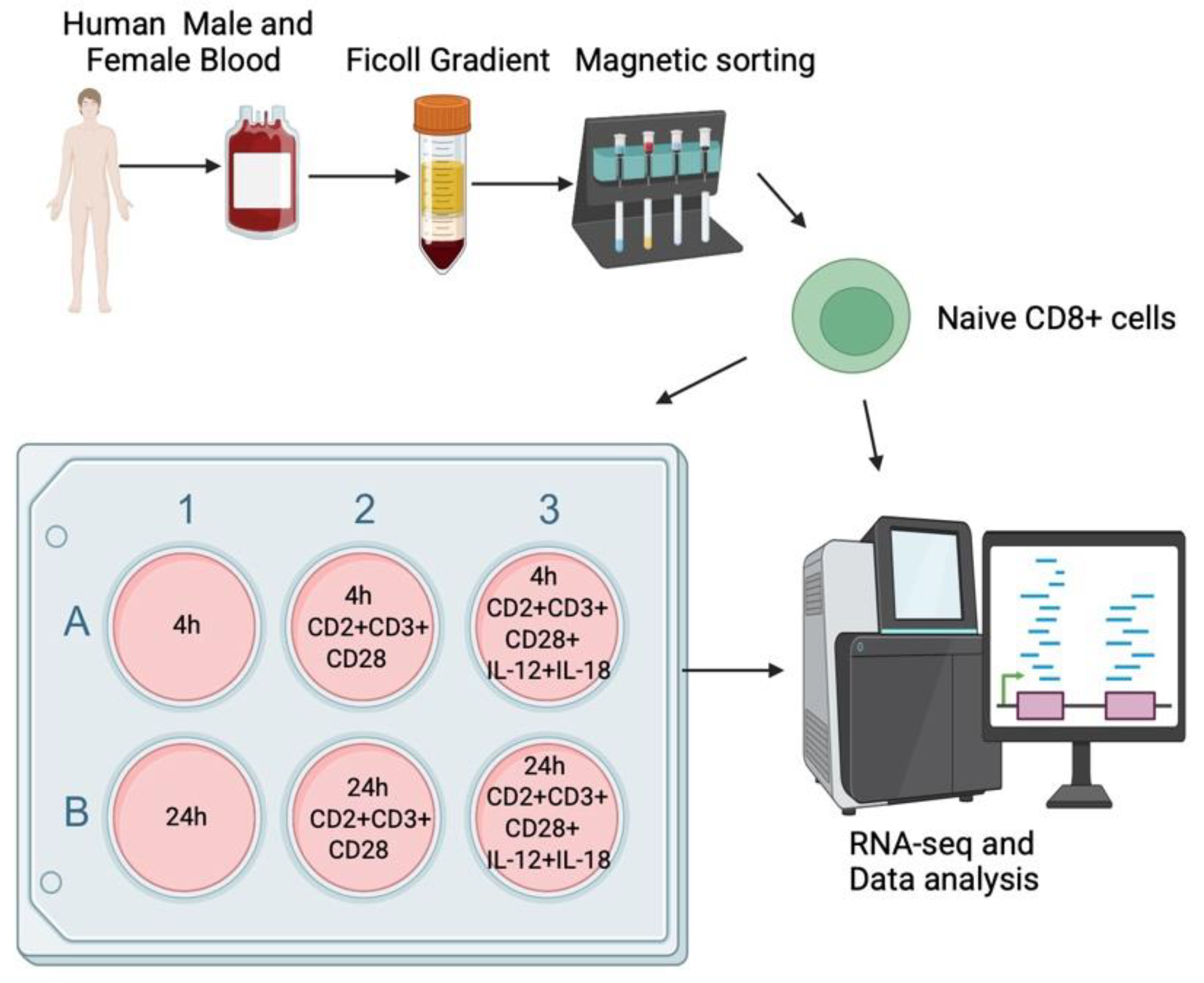 Preprints 182062 g001