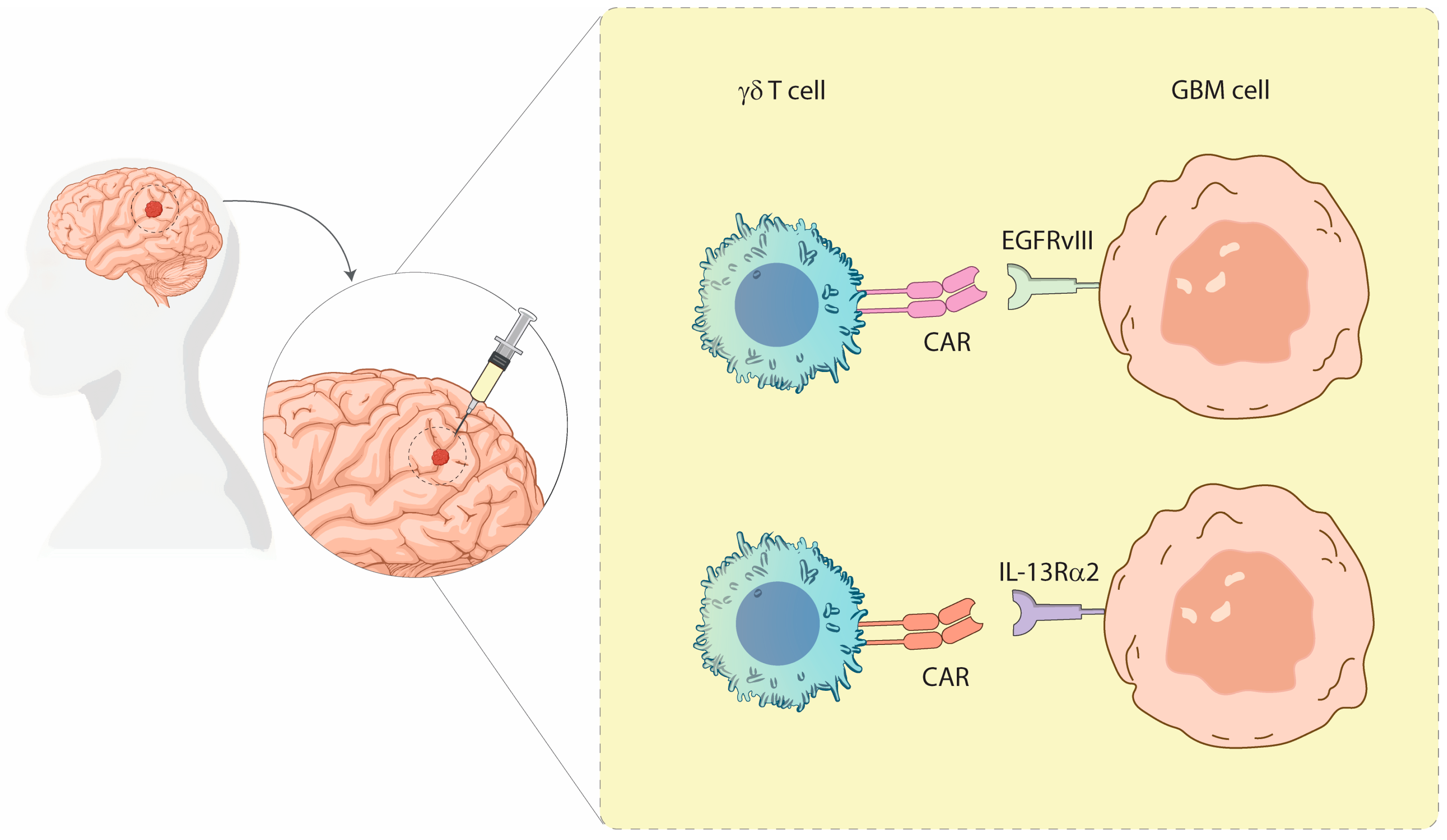 Preprints 165523 g001