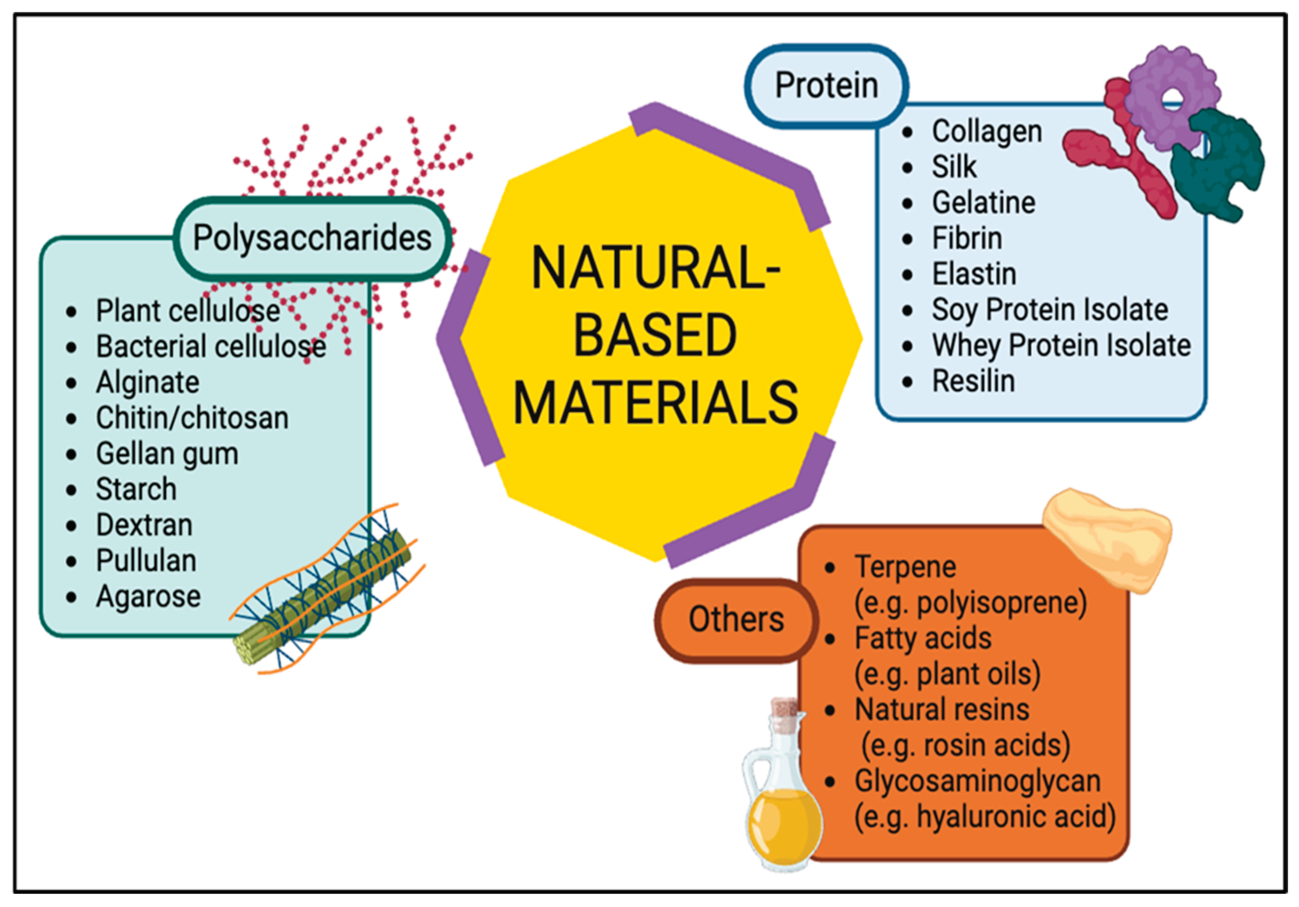 Preprints 159219 g001