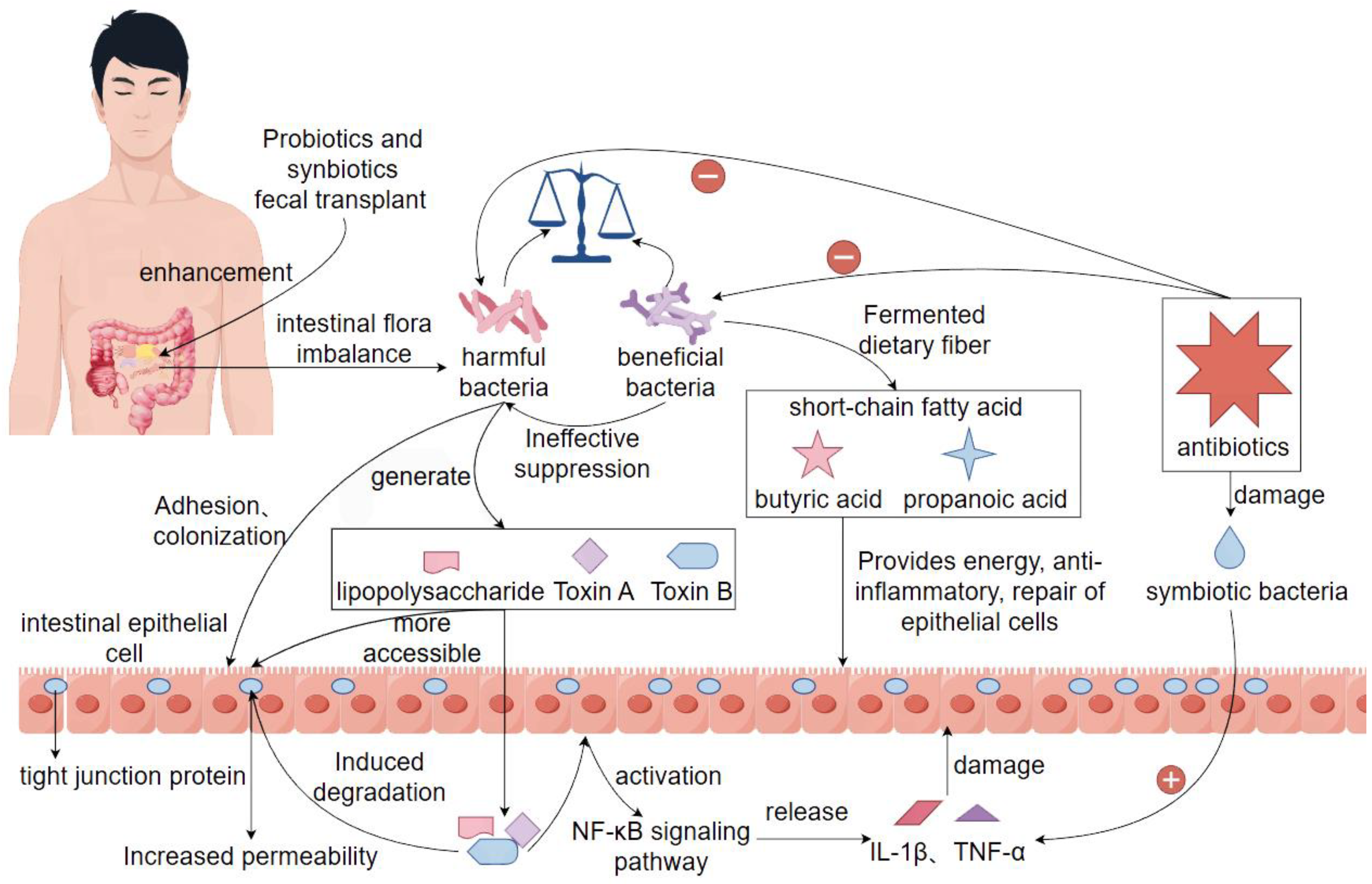 Preprints 163285 g001