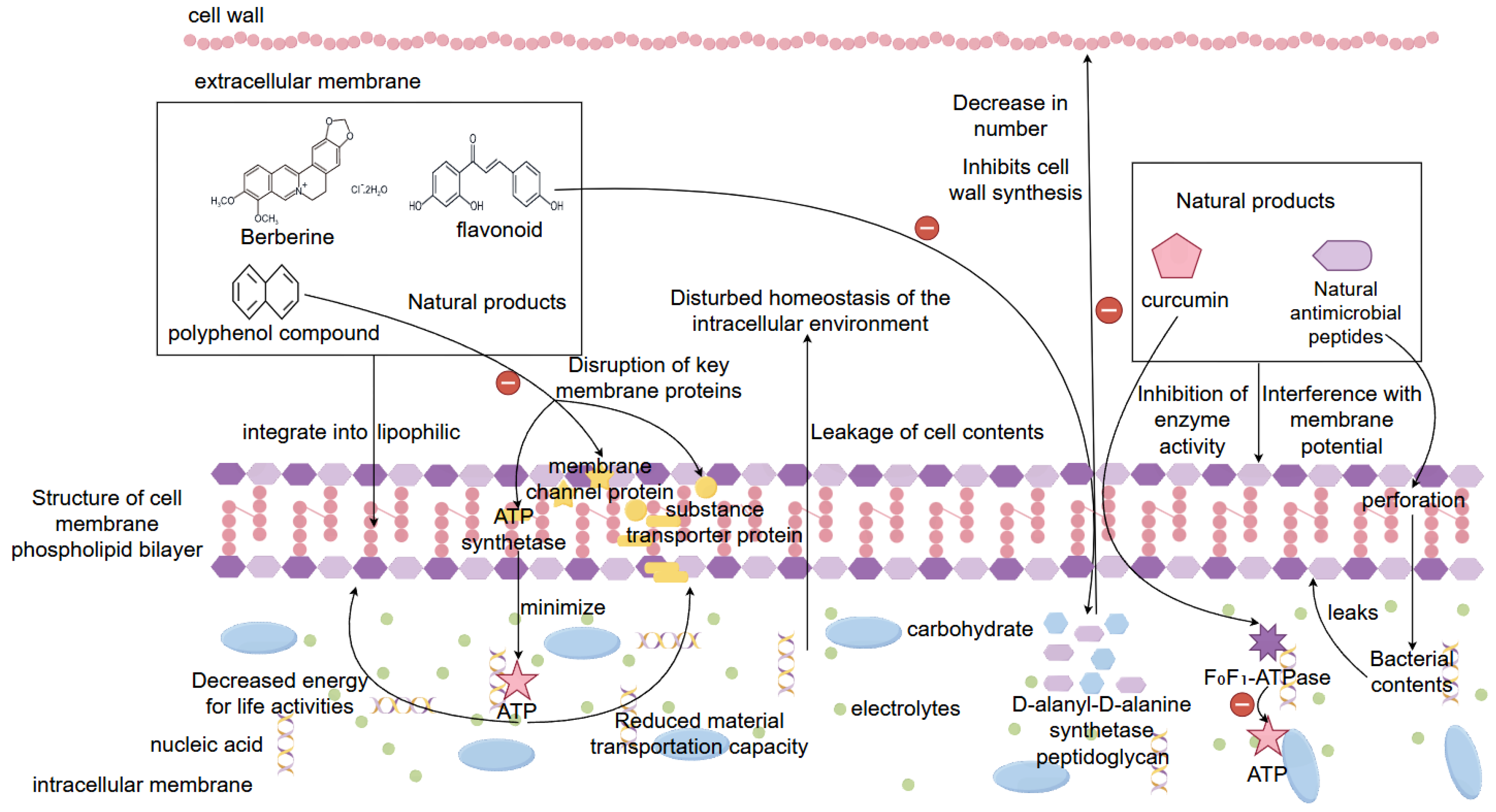 Preprints 163285 g002