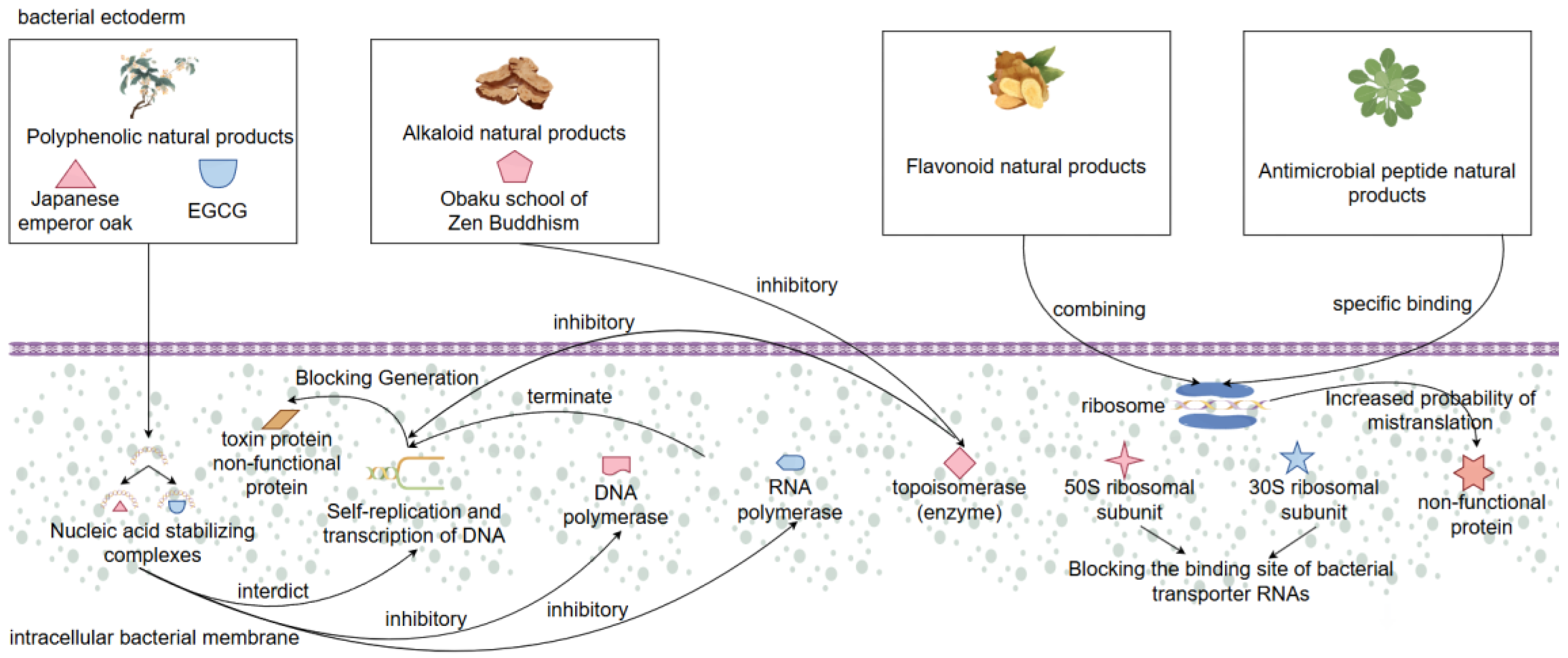 Preprints 163285 g003