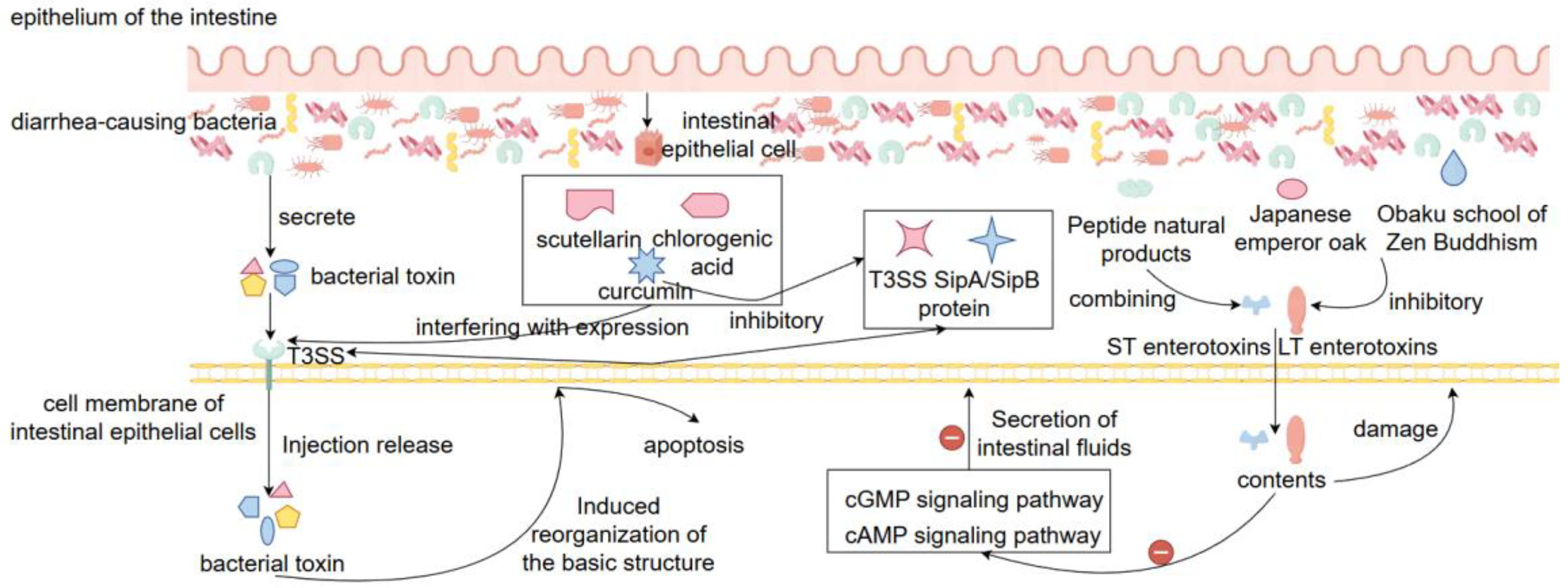Preprints 163285 g004