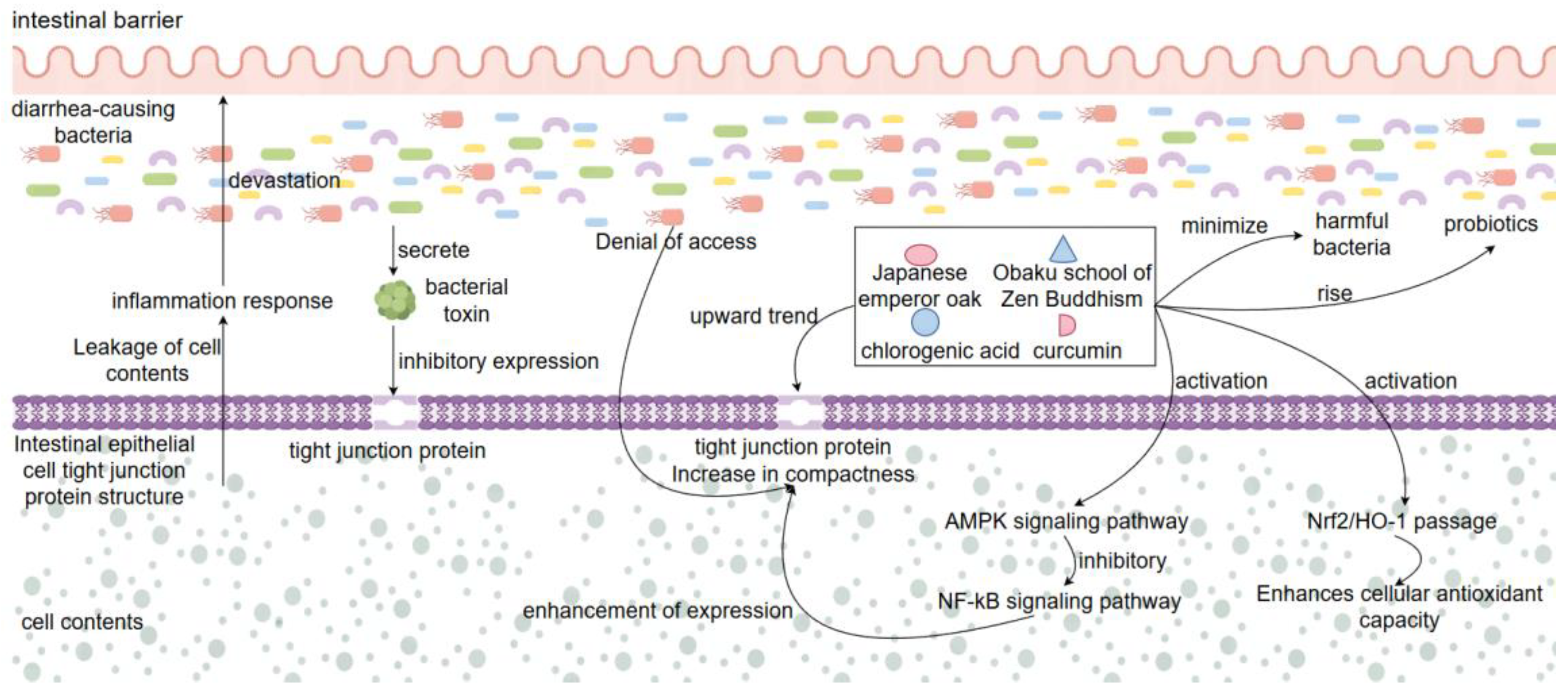 Preprints 163285 g005