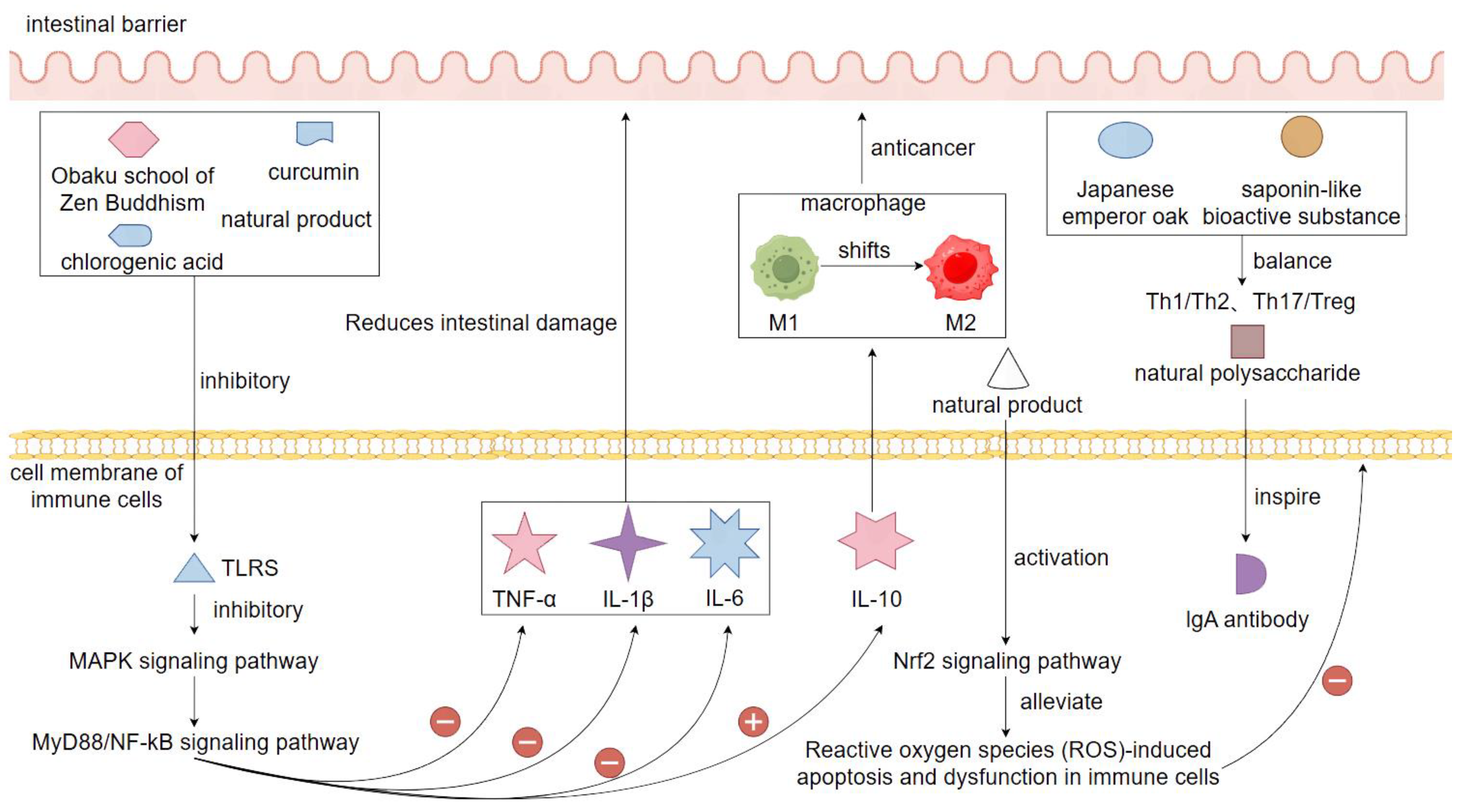 Preprints 163285 g006