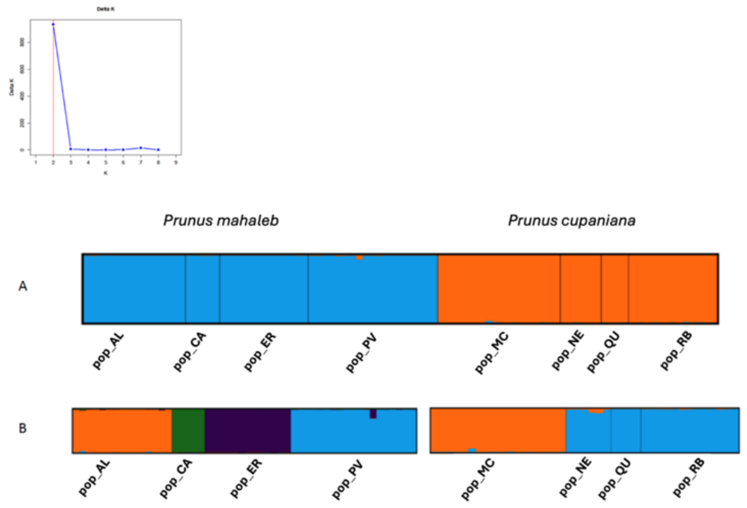 Preprints 219877 g004