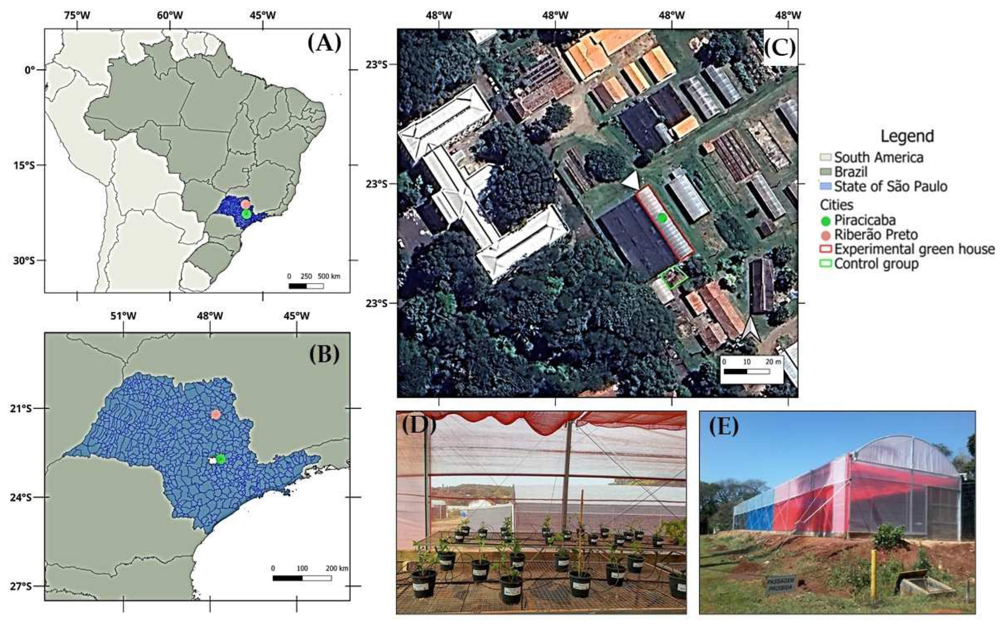Preprints 164037 g001
