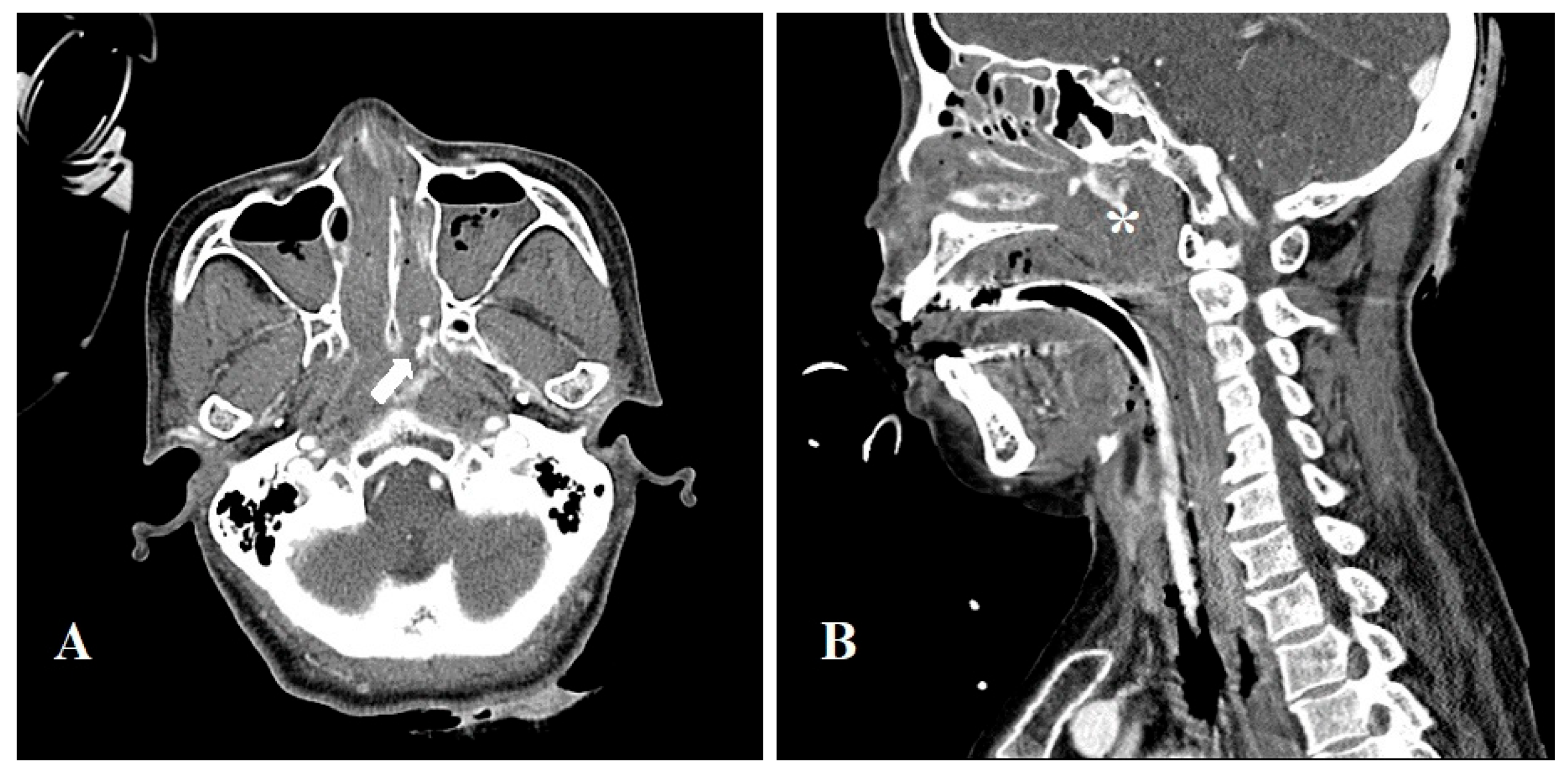 Preprints 174014 g001