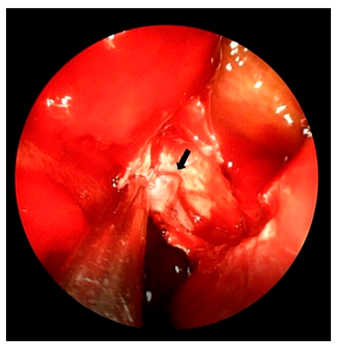 Preprints 174014 g002