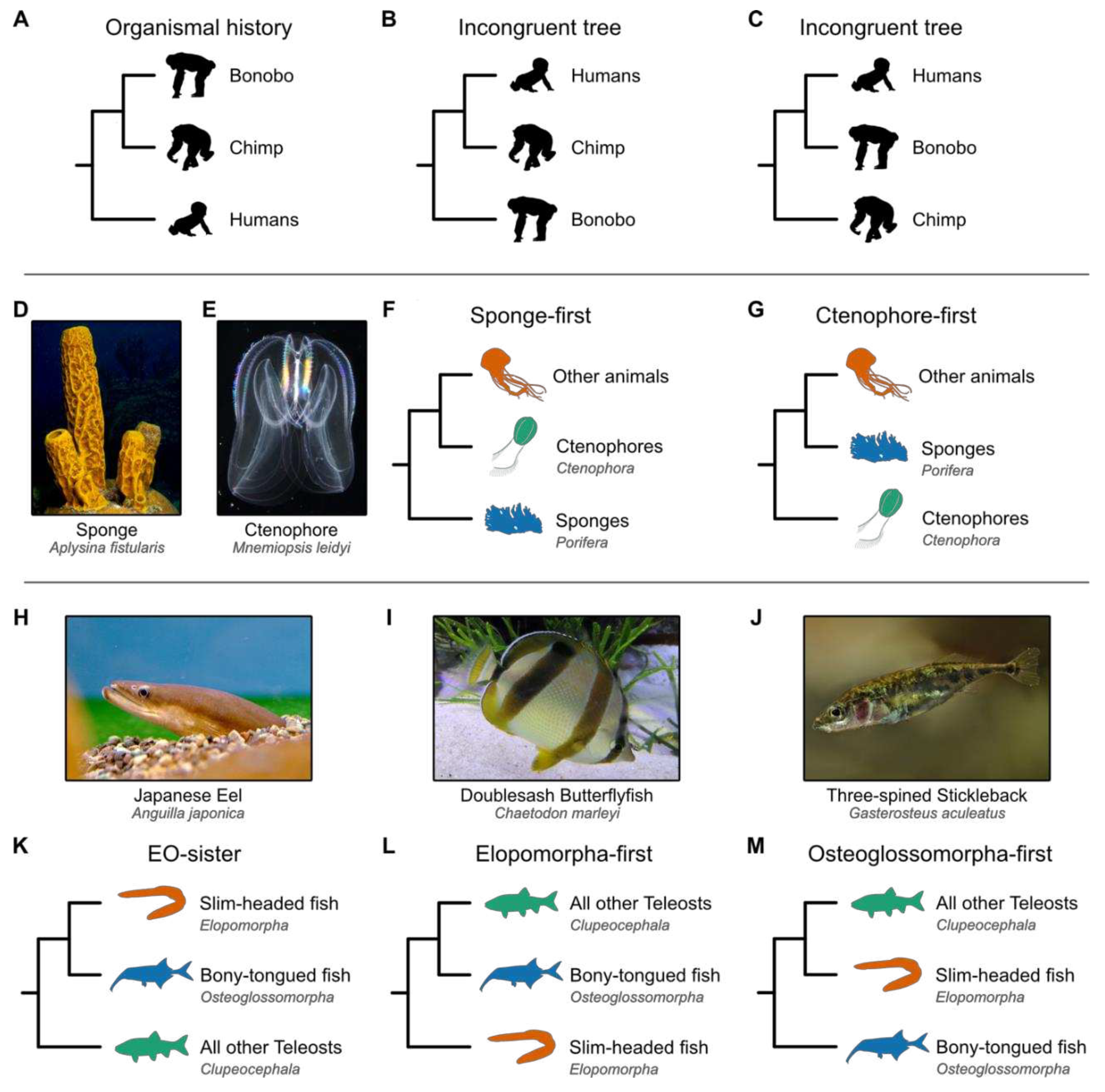 Preprints 98502 g001