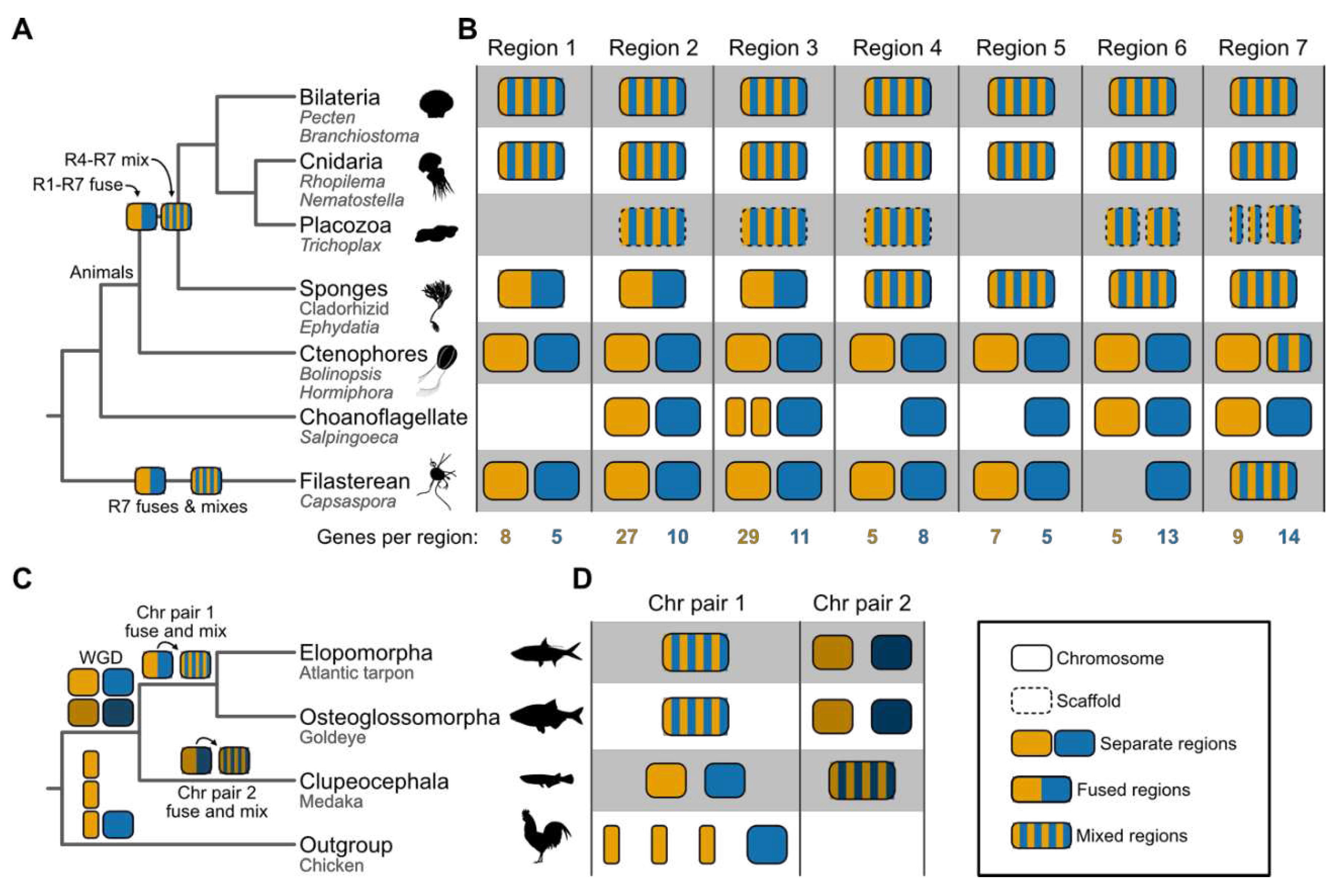 Preprints 98502 g003