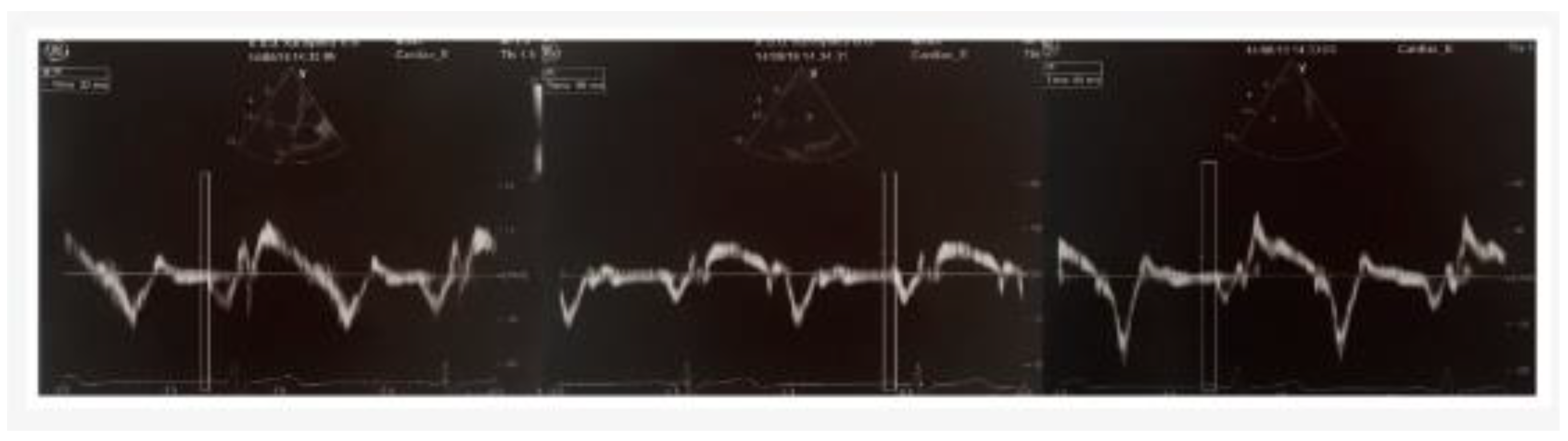 Preprints 142617 g001