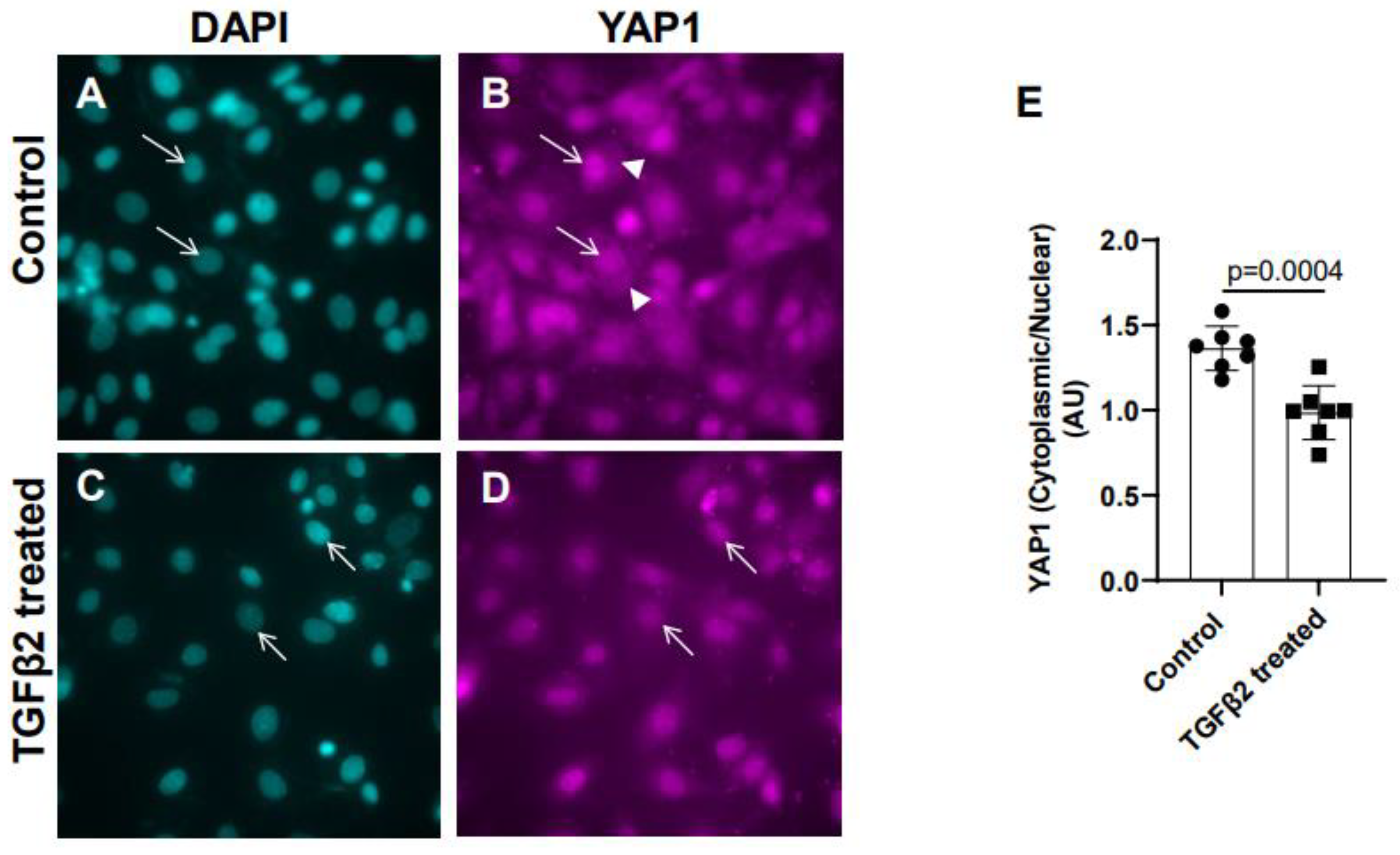 Preprints 88144 g002
