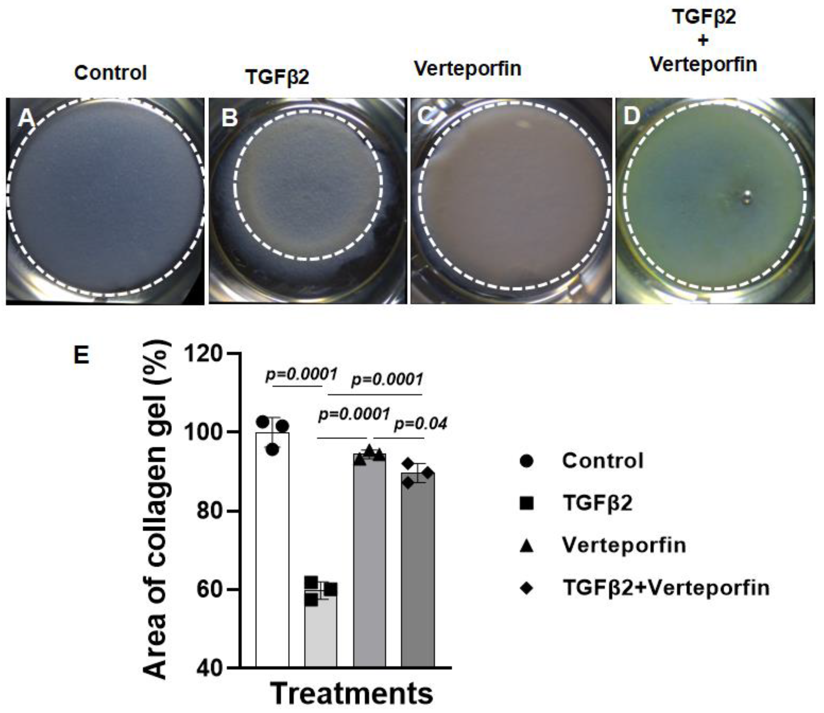 Preprints 88144 g003