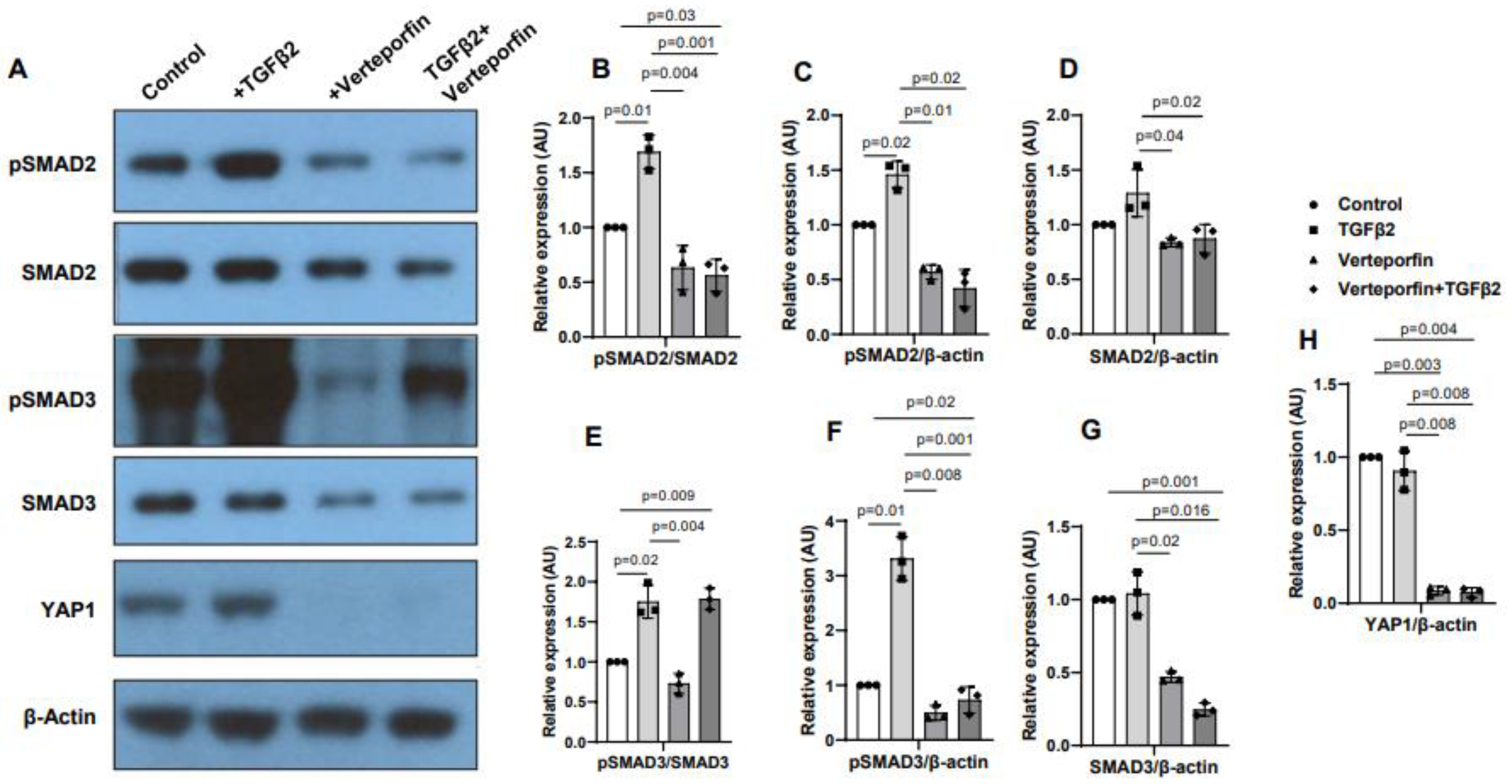 Preprints 88144 g005