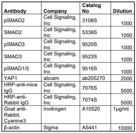 Preprints 88144 i001