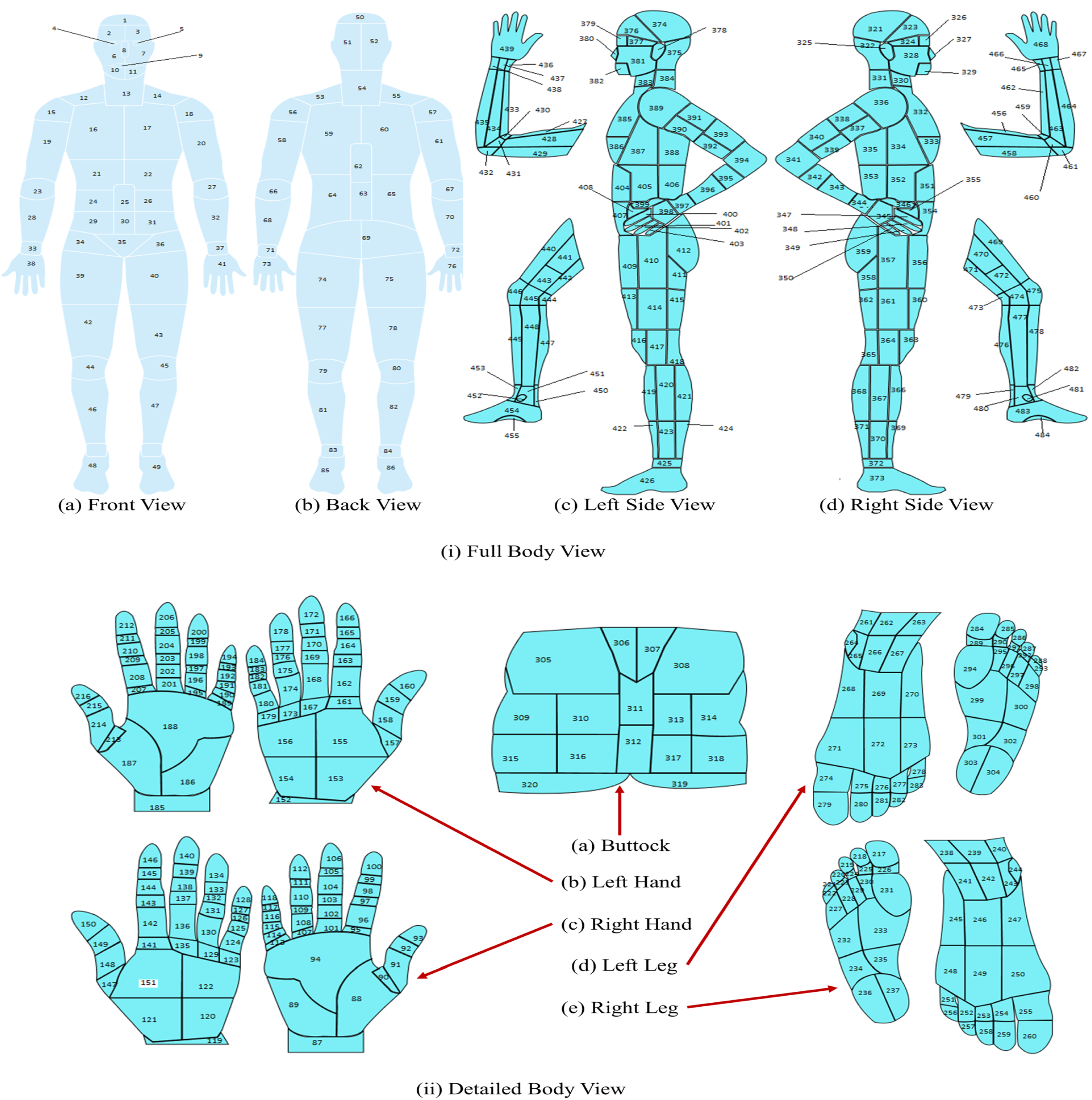 Preprints 145493 g003