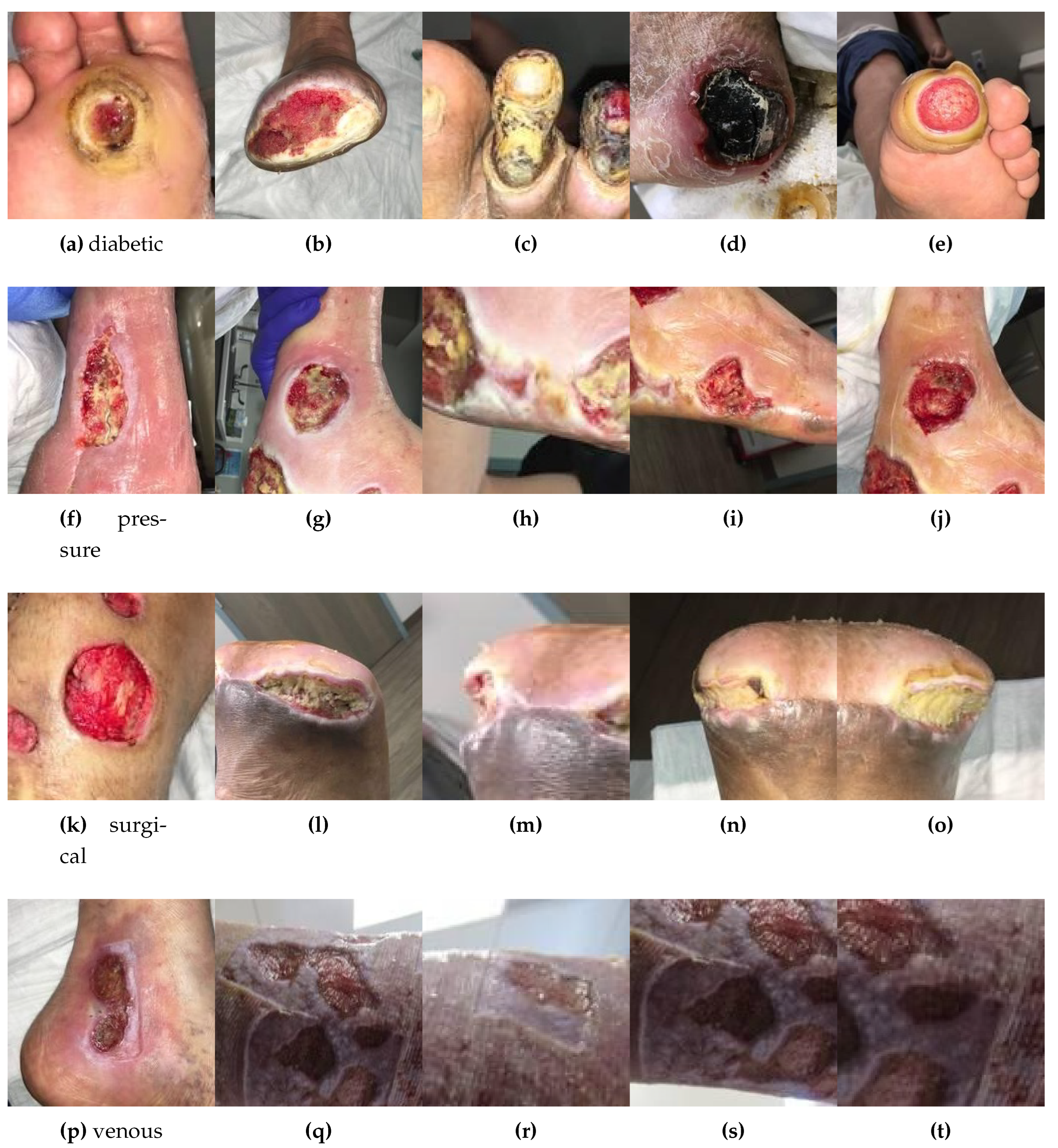 Preprints 145493 g005