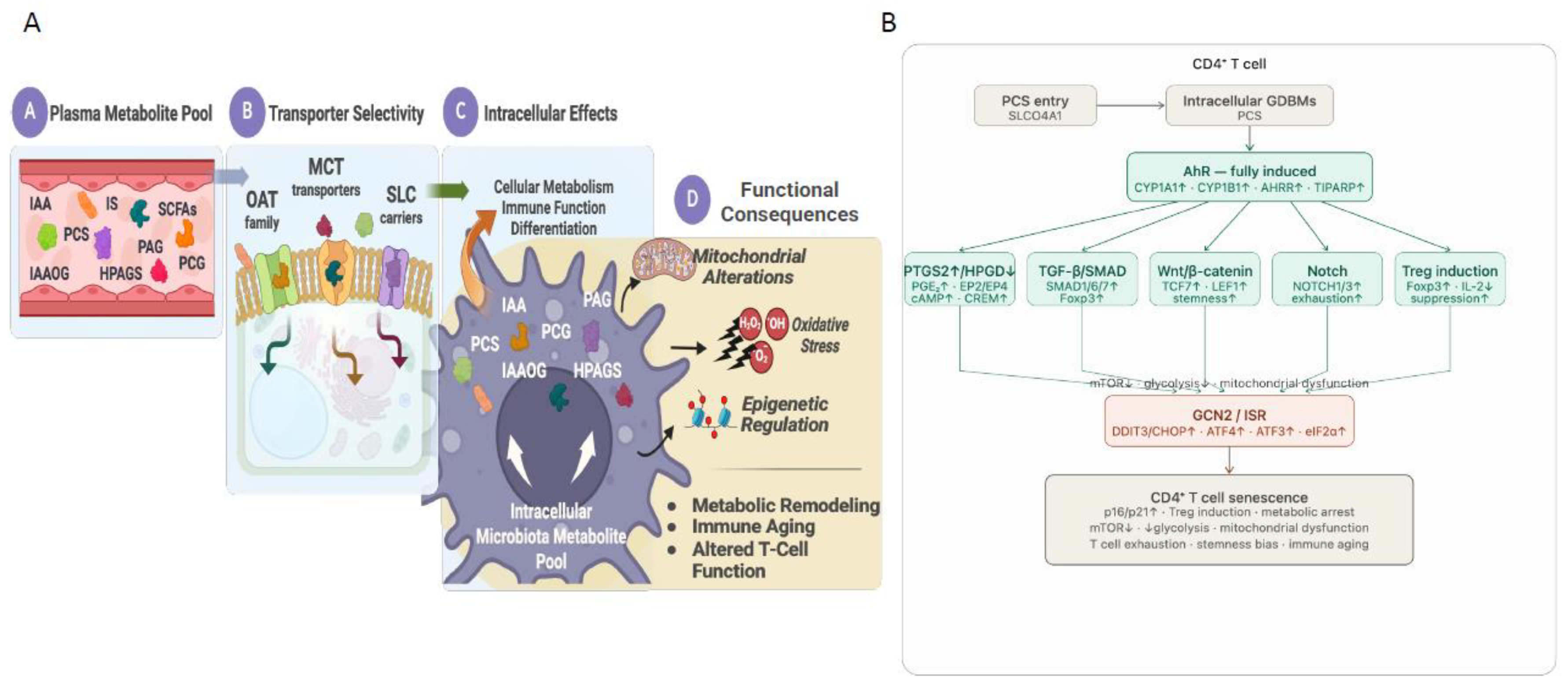 Preprints 207720 g001