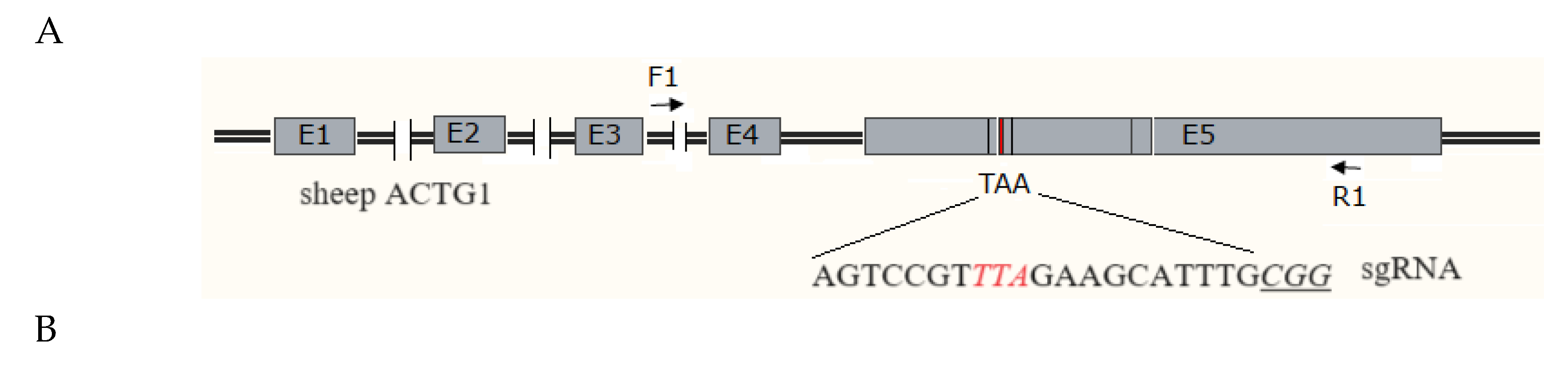 Preprints 112616 g002a