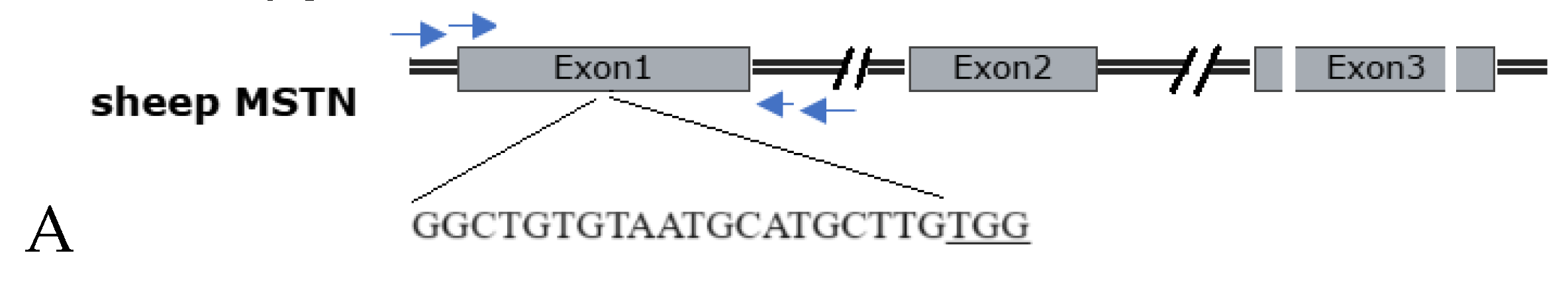 Preprints 112616 g003a
