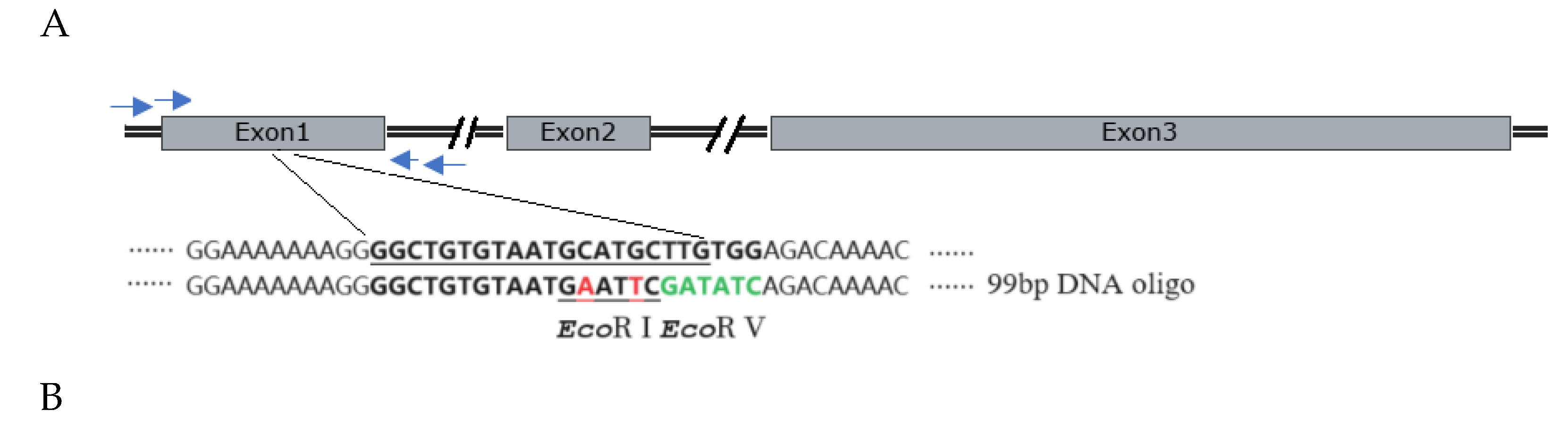 Preprints 112616 g004a
