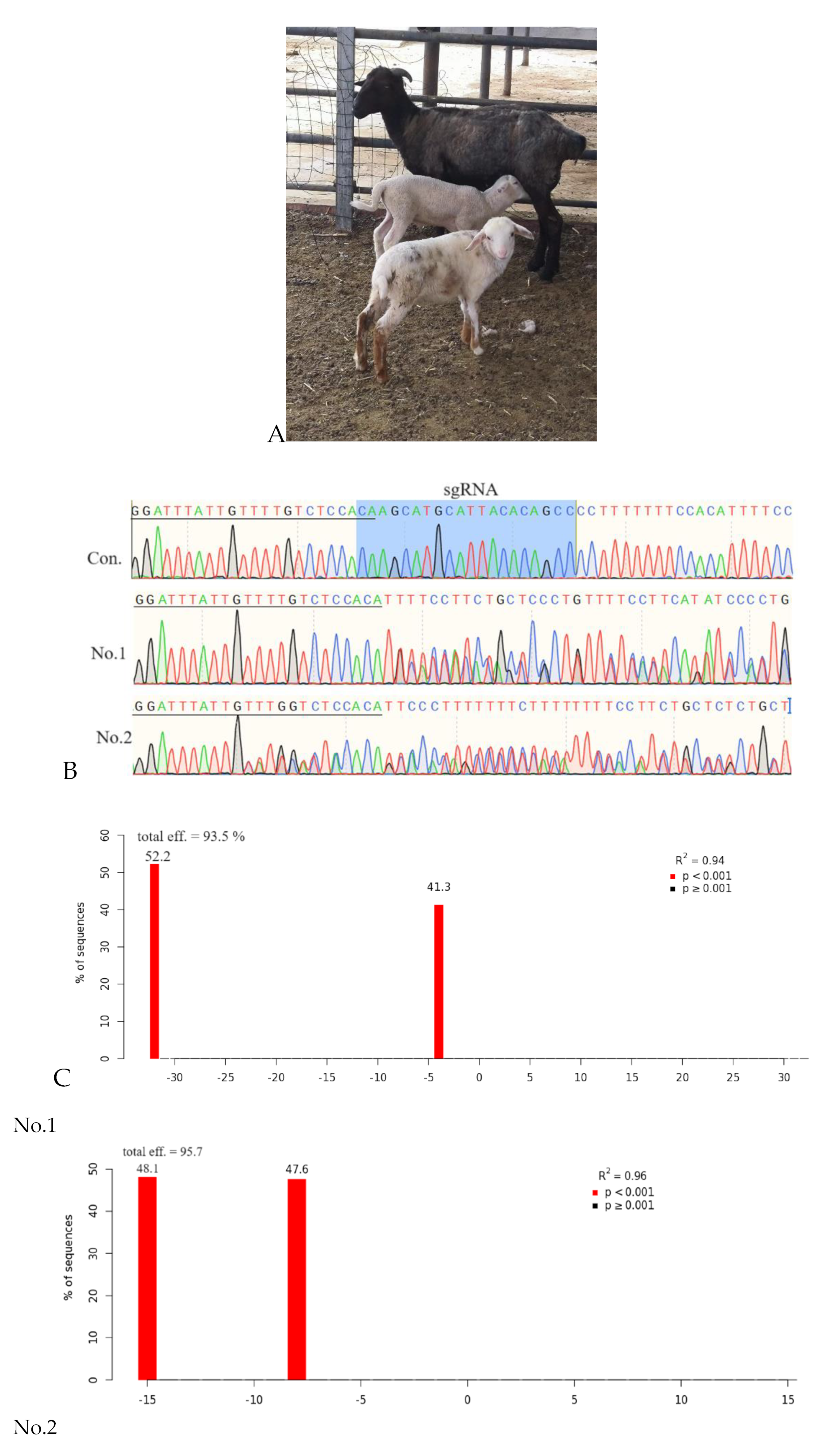 Preprints 112616 g005