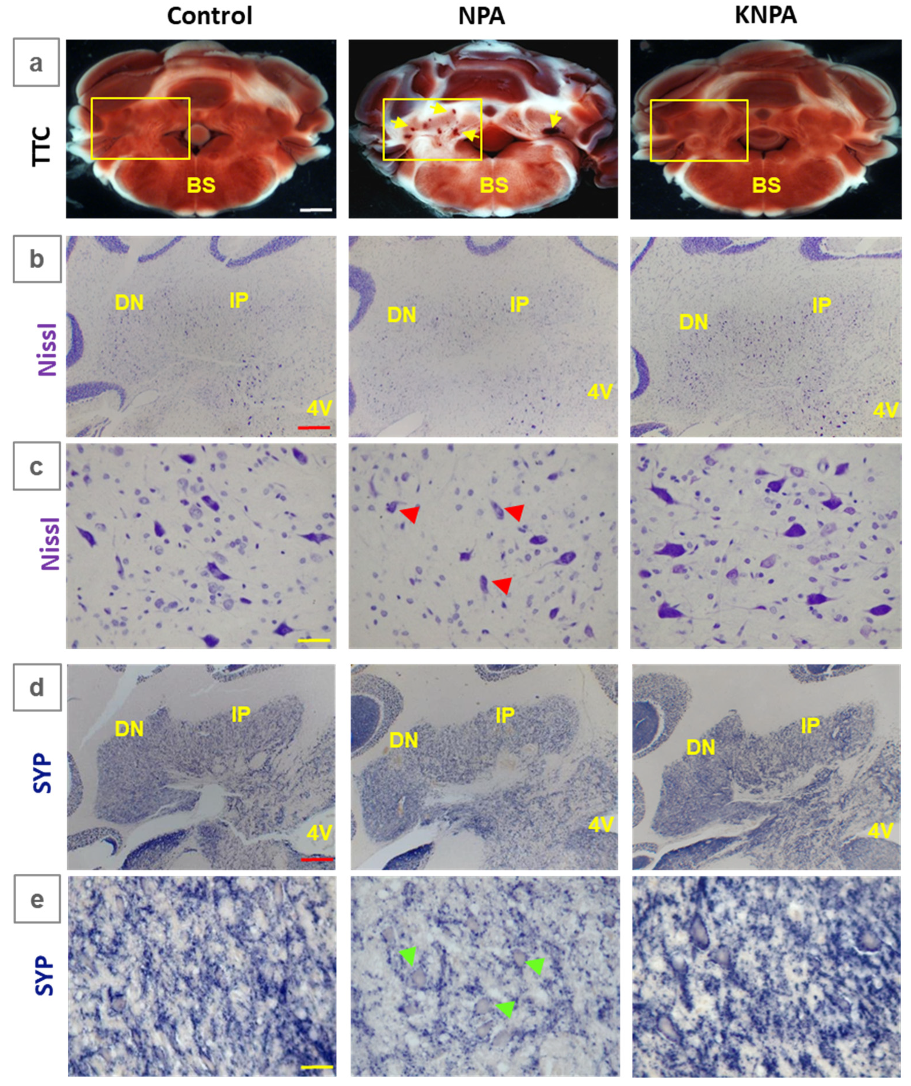 Preprints 199542 g001