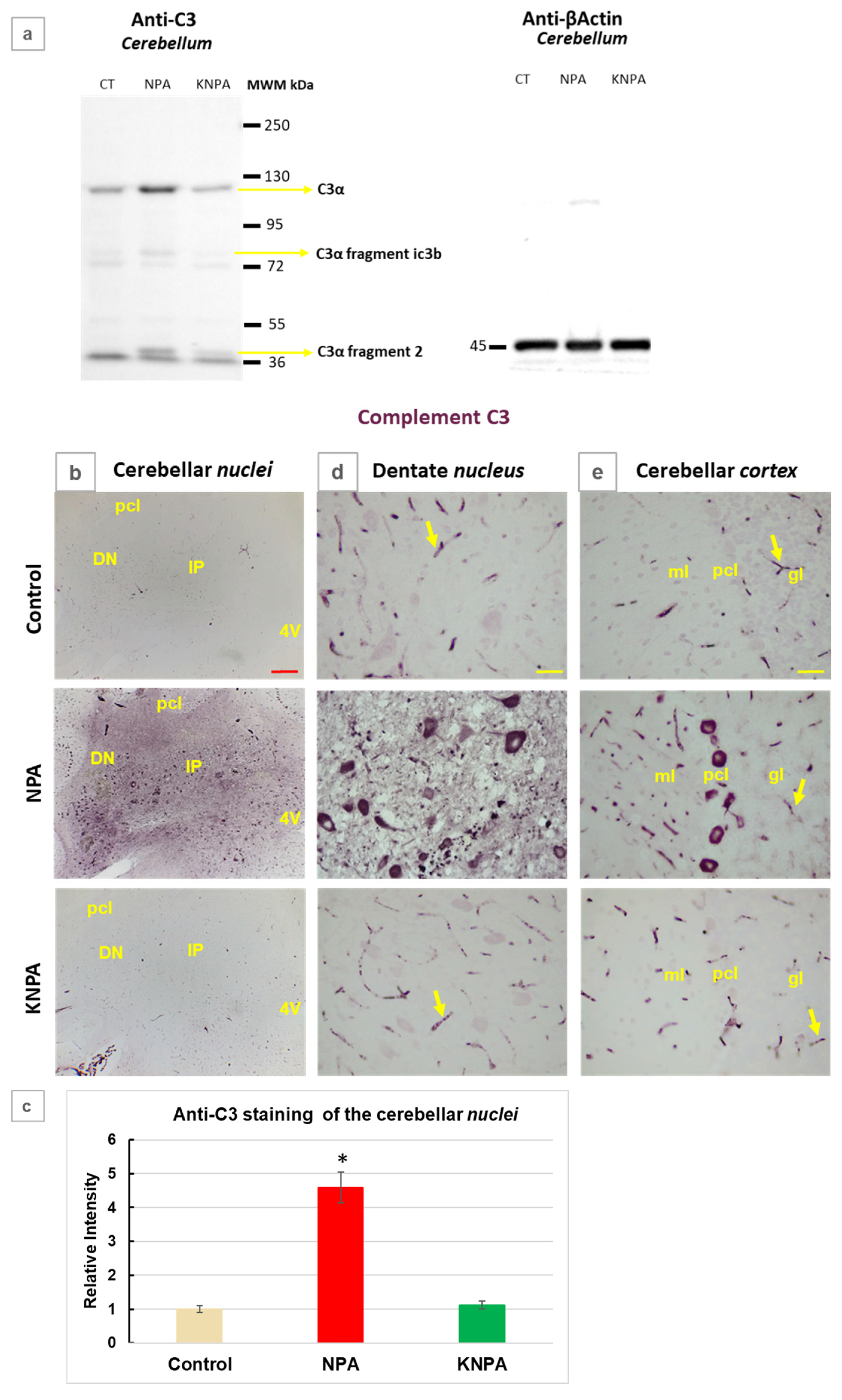 Preprints 199542 g003