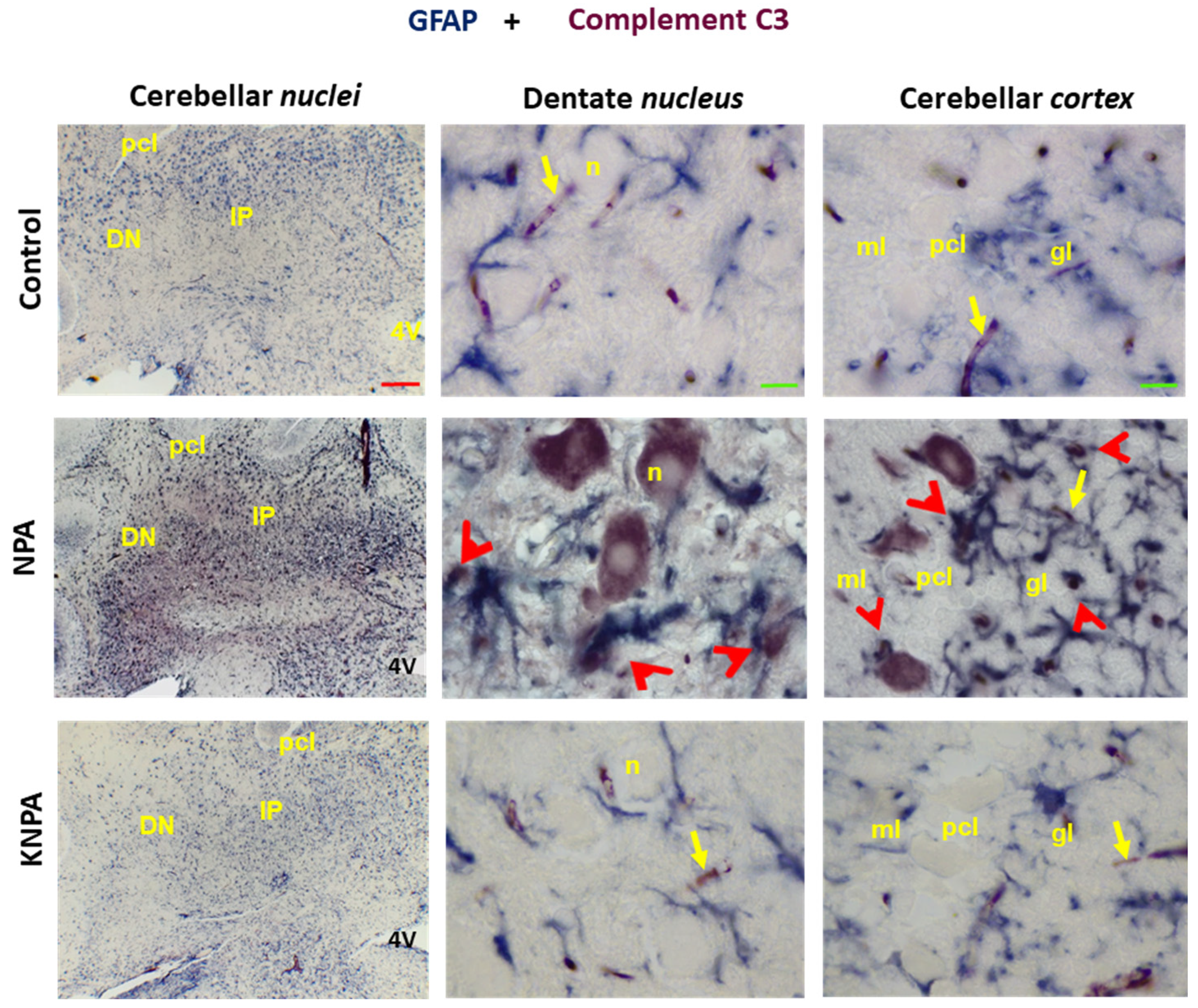 Preprints 199542 g004