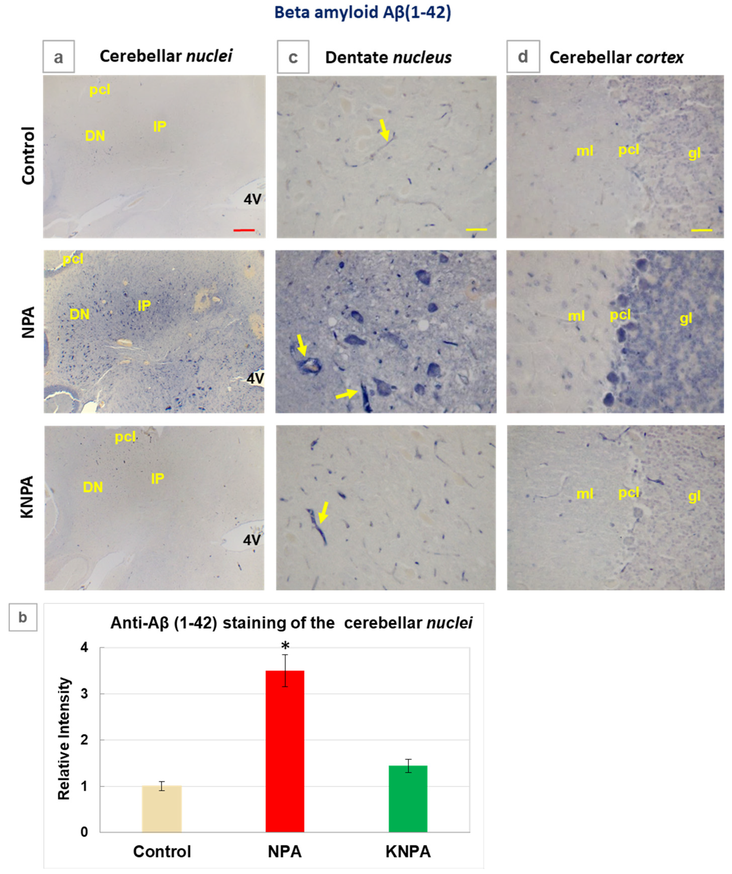 Preprints 199542 g005