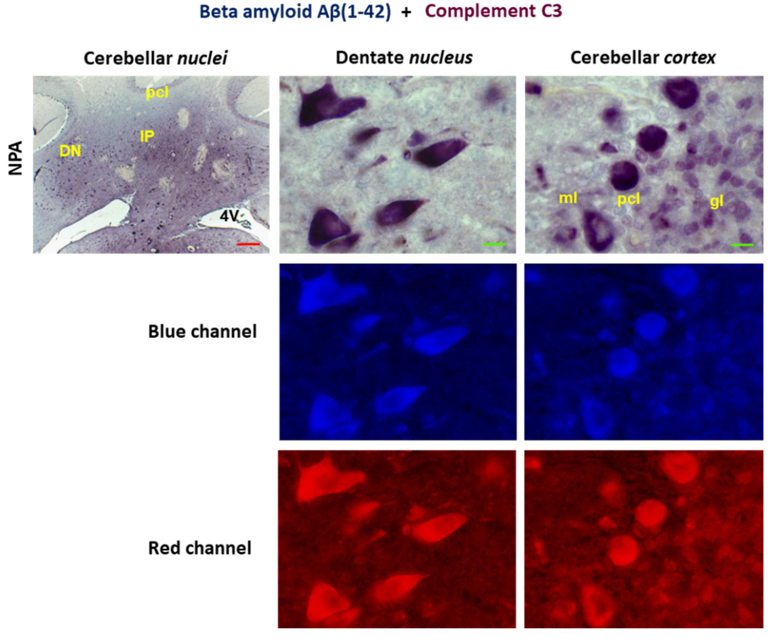 Preprints 199542 g006