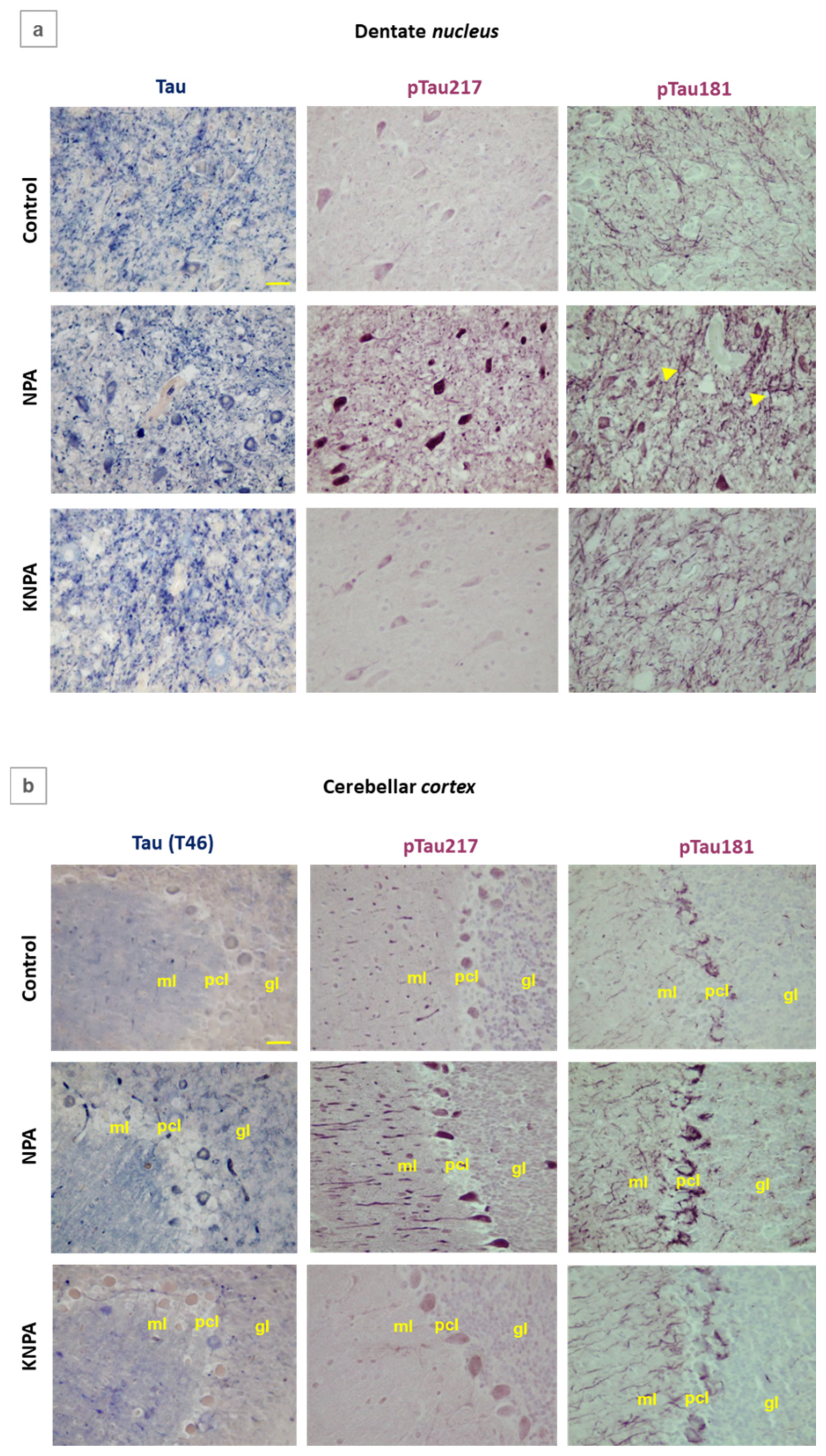 Preprints 199542 g007