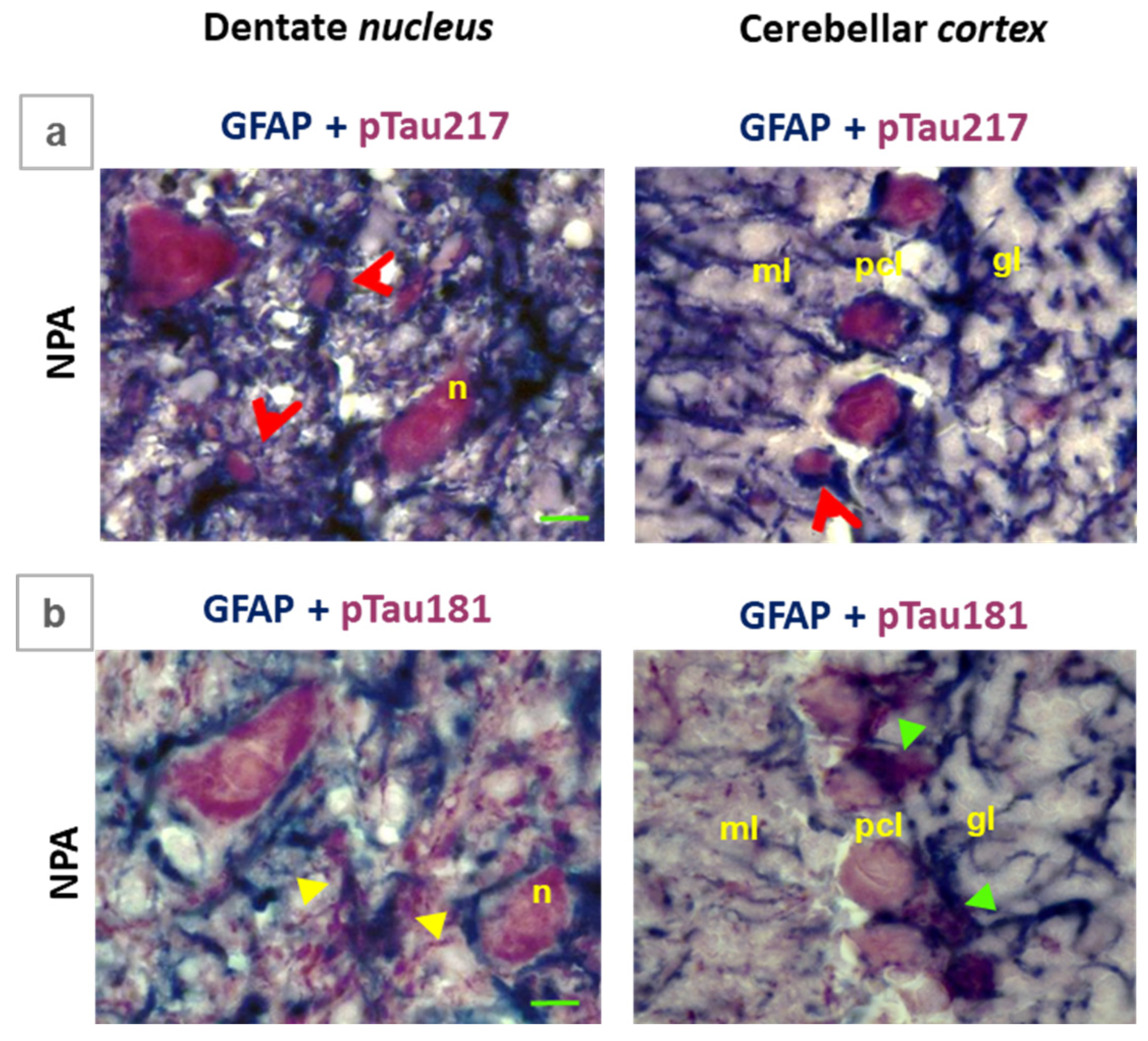 Preprints 199542 g008
