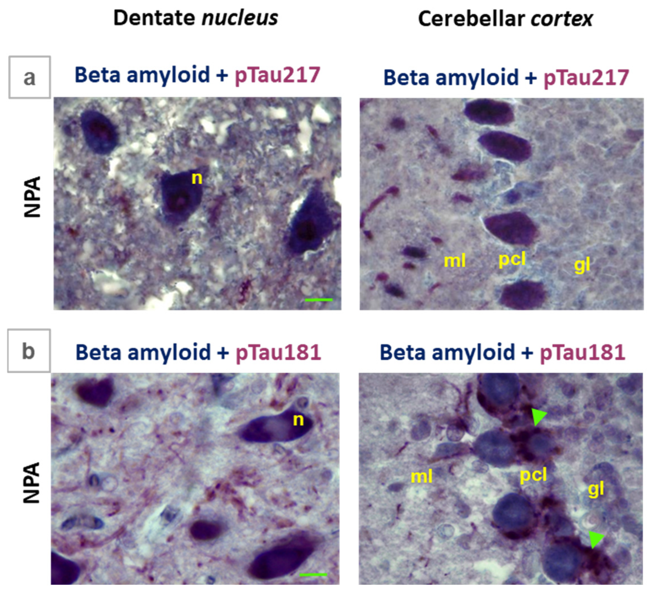 Preprints 199542 g009