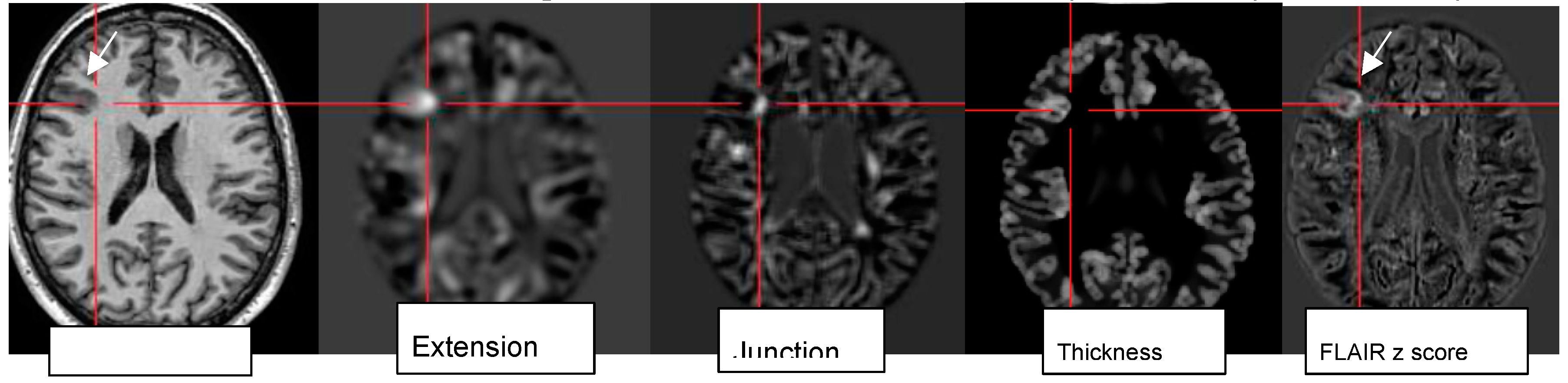 Preprints 151405 g006
