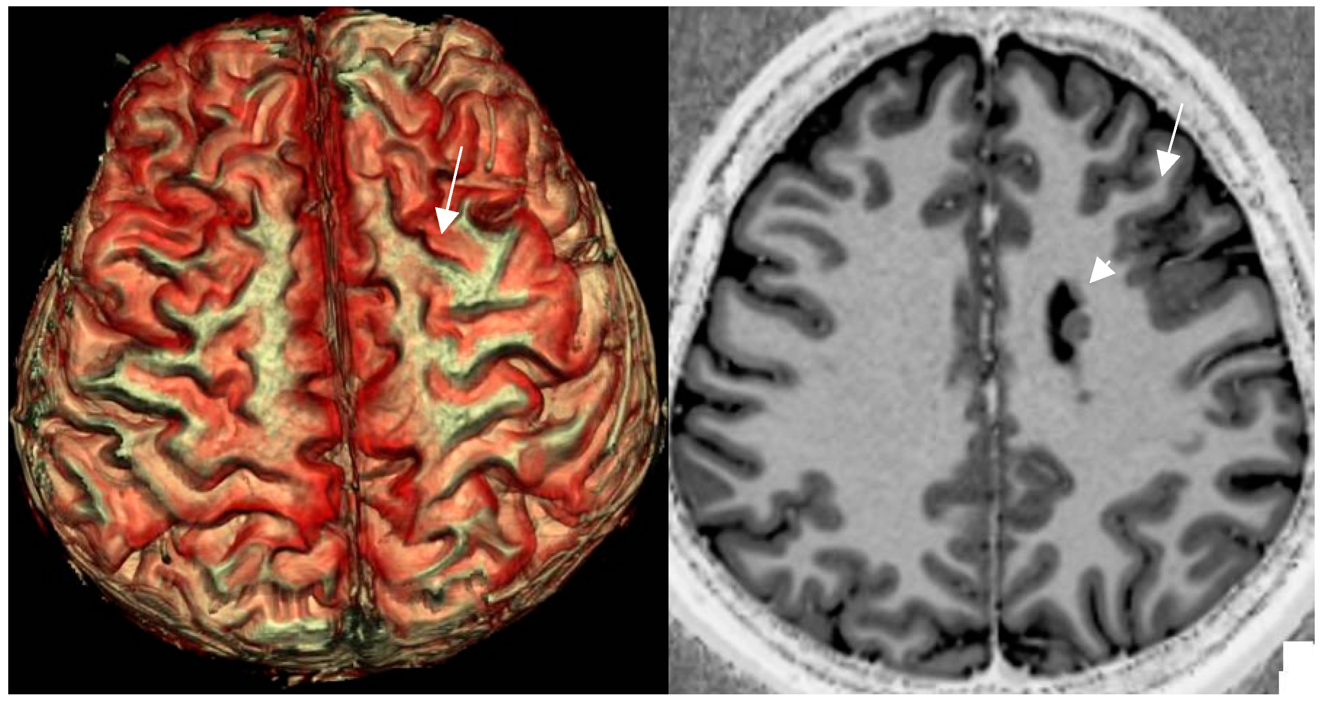 Preprints 151405 g008
