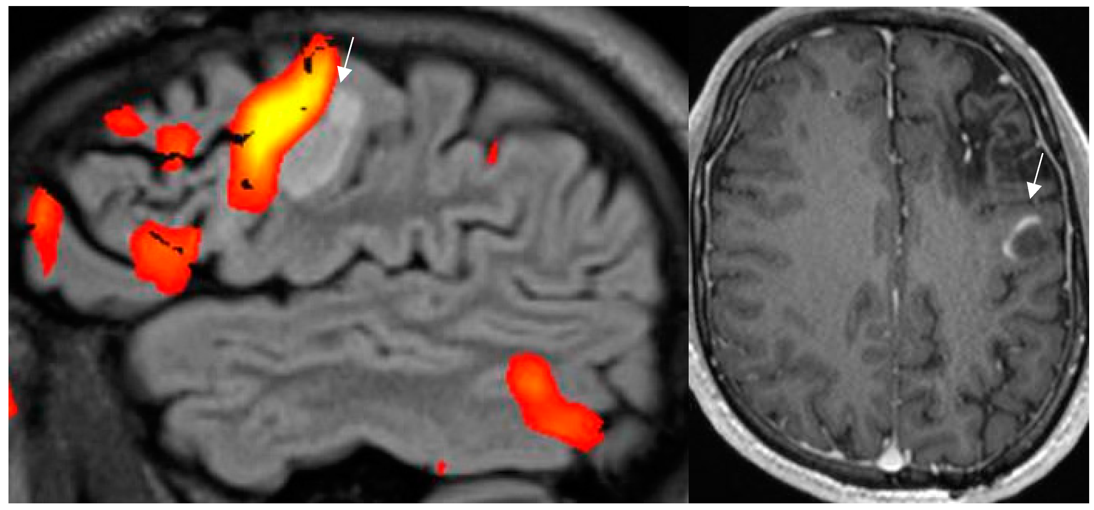Preprints 151405 g009