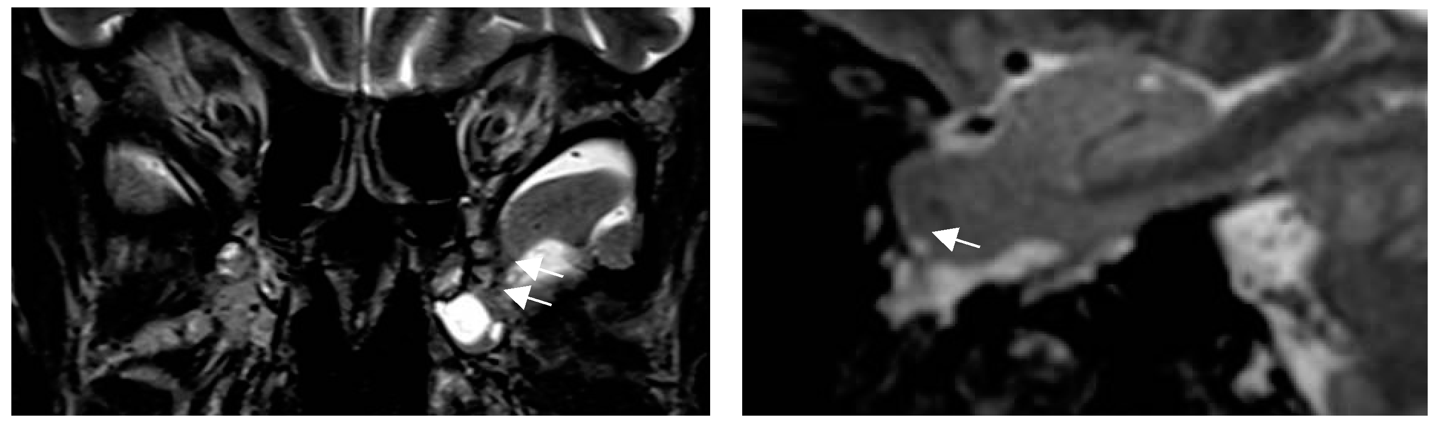 Preprints 151405 g010