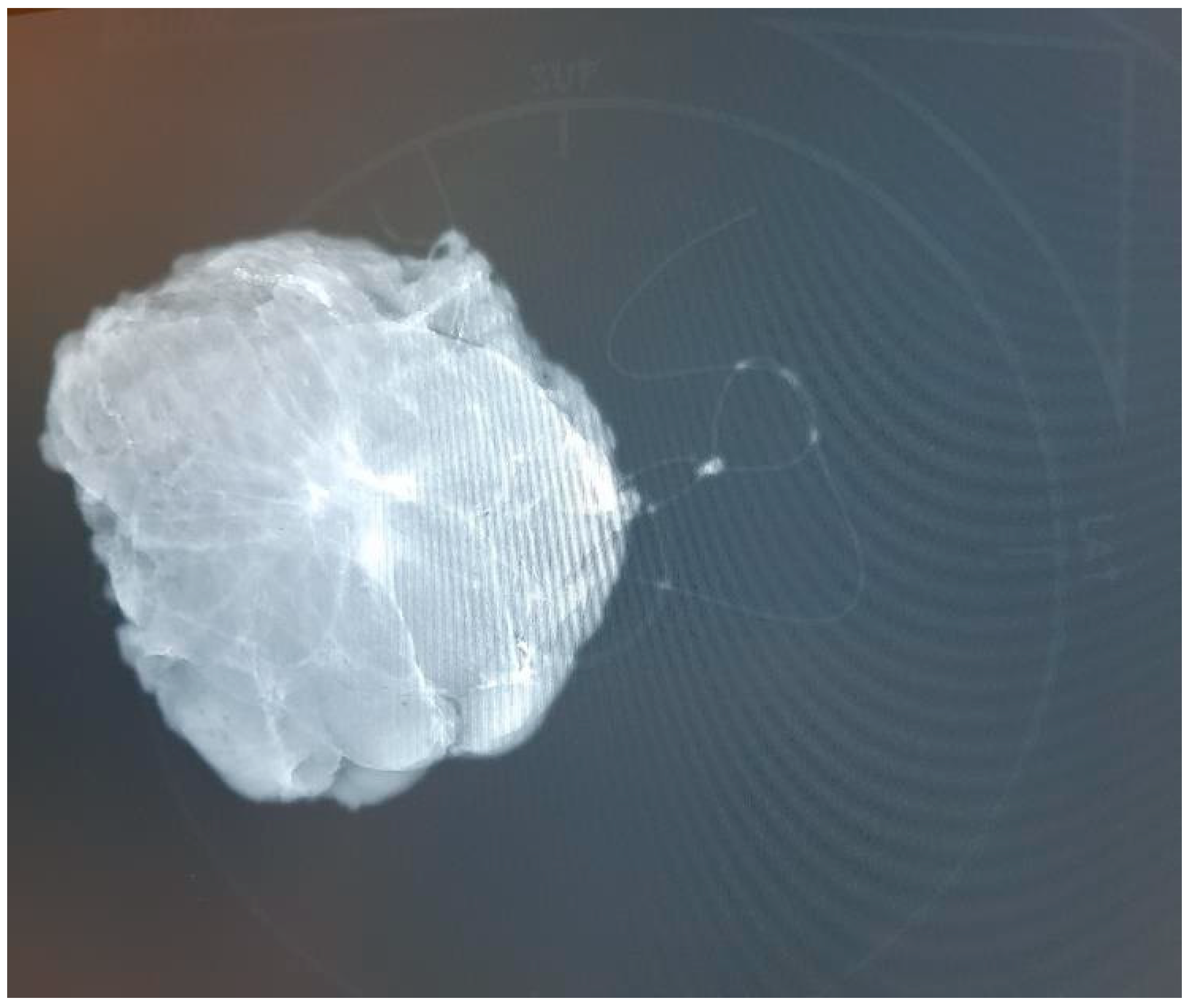 Preprints 146802 g002