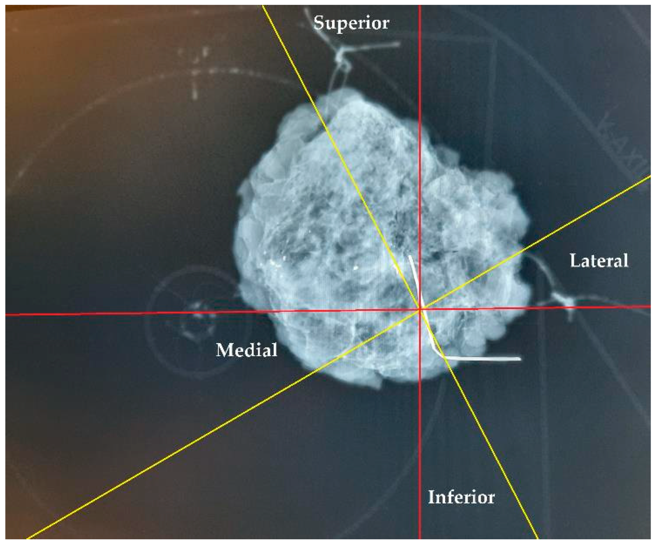 Preprints 146802 g008