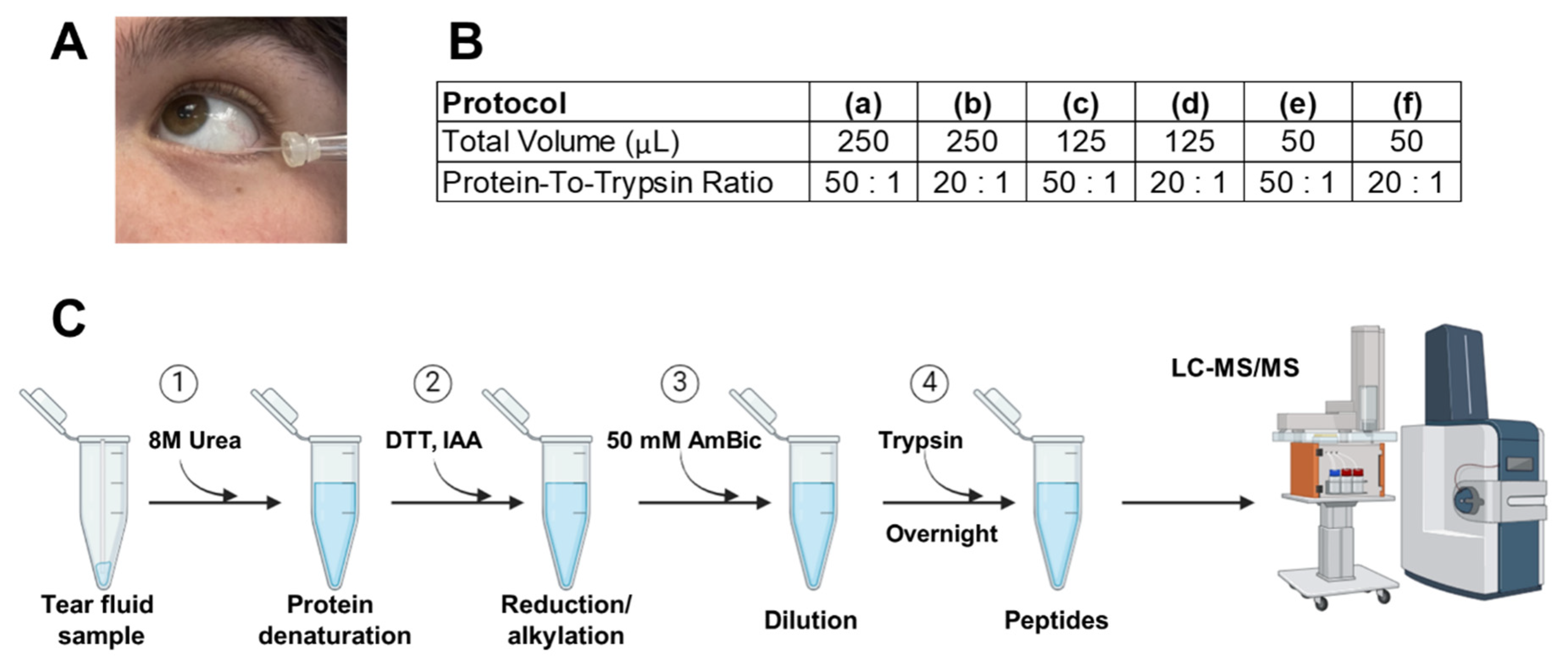 Preprints 144180 g001