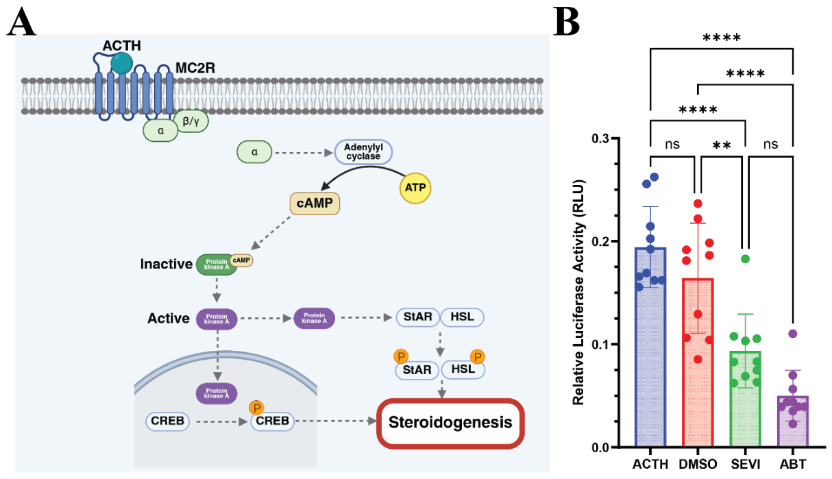 Preprints 229552 g017 Preprints 229552 g017
