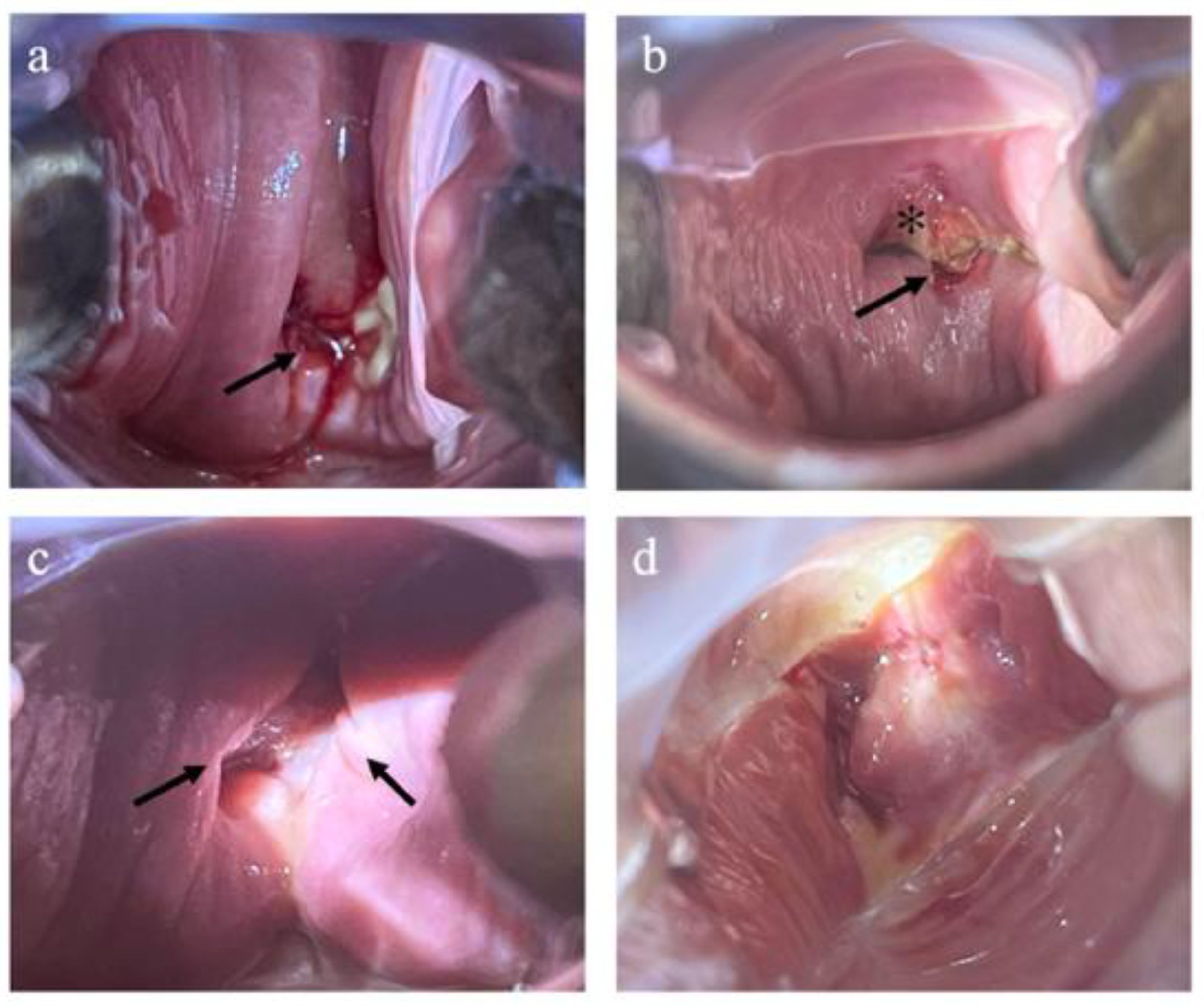 Preprints 199829 g003