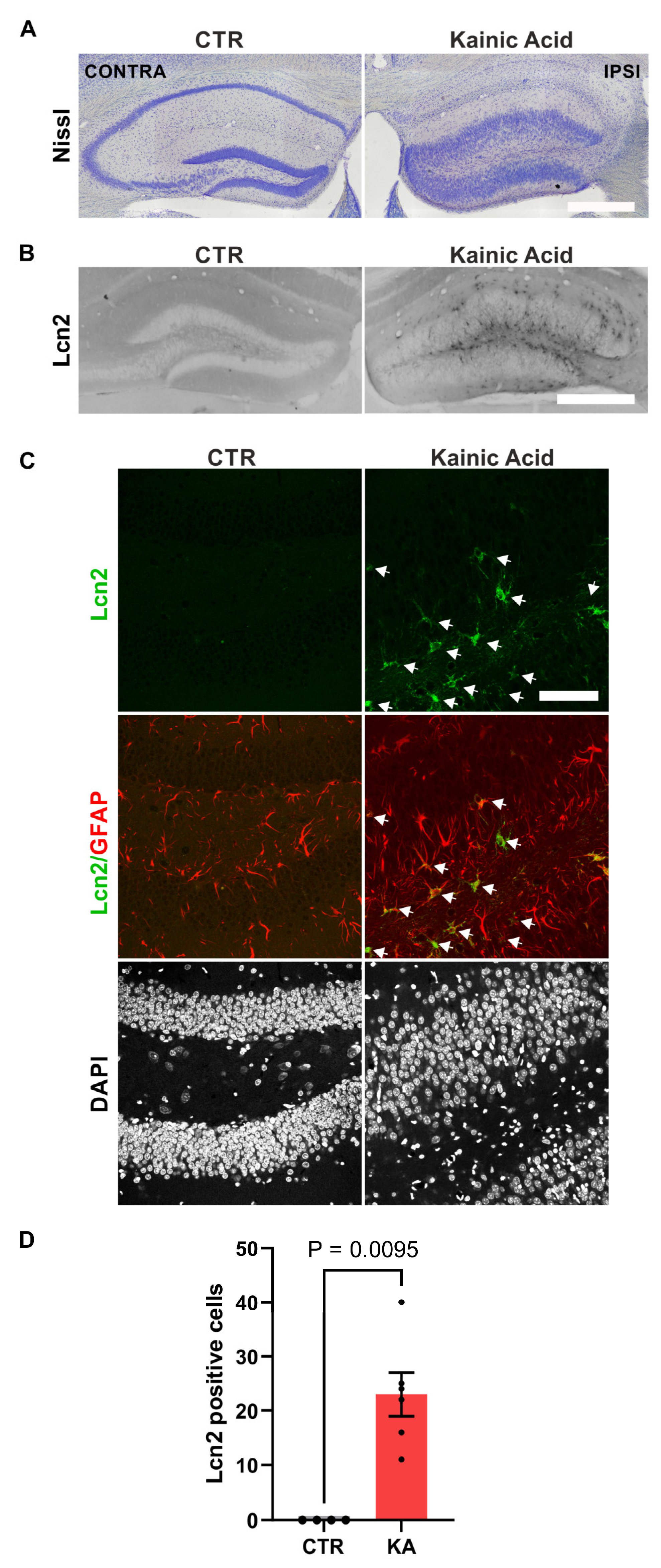 Preprints 138092 g001