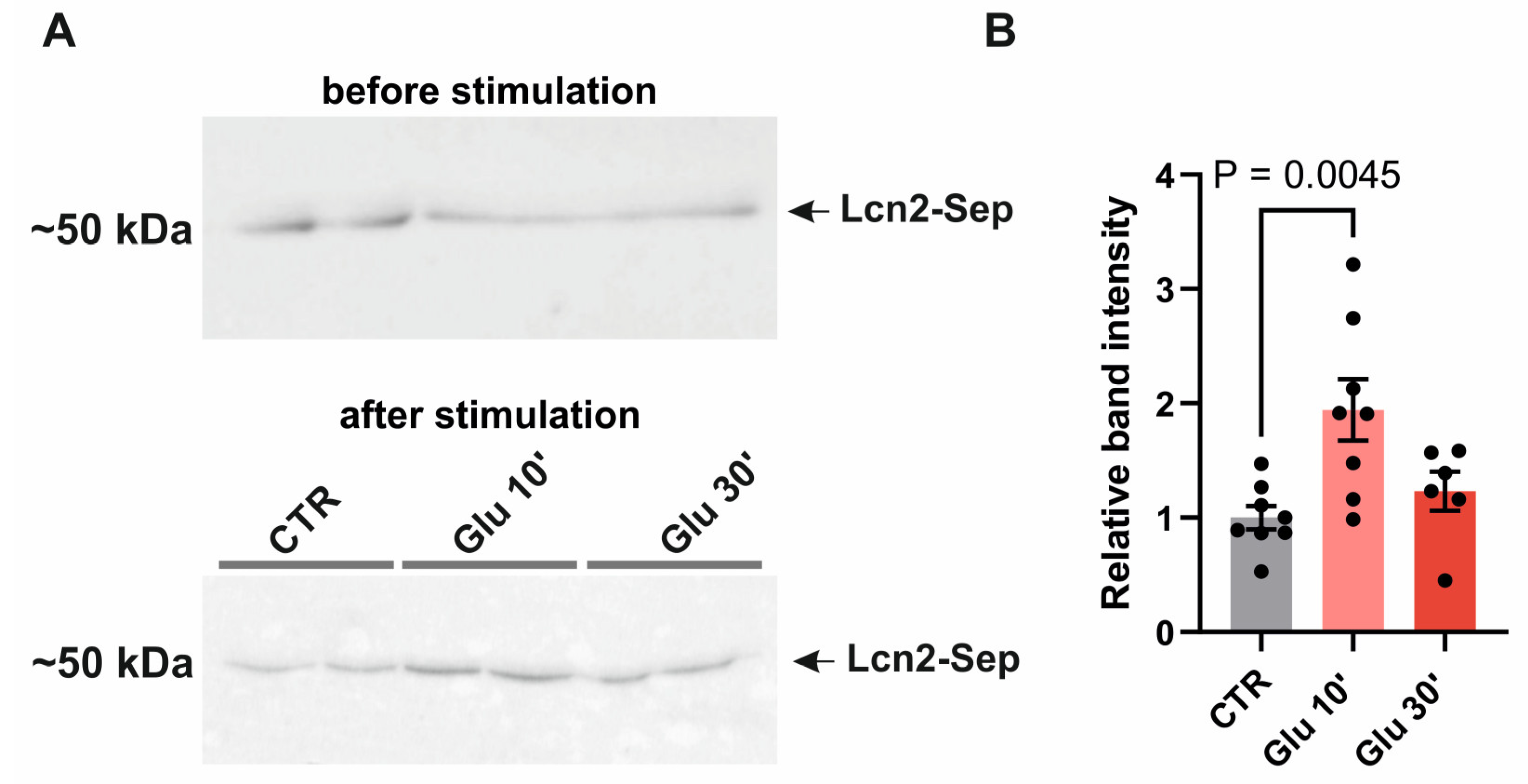Preprints 138092 g003