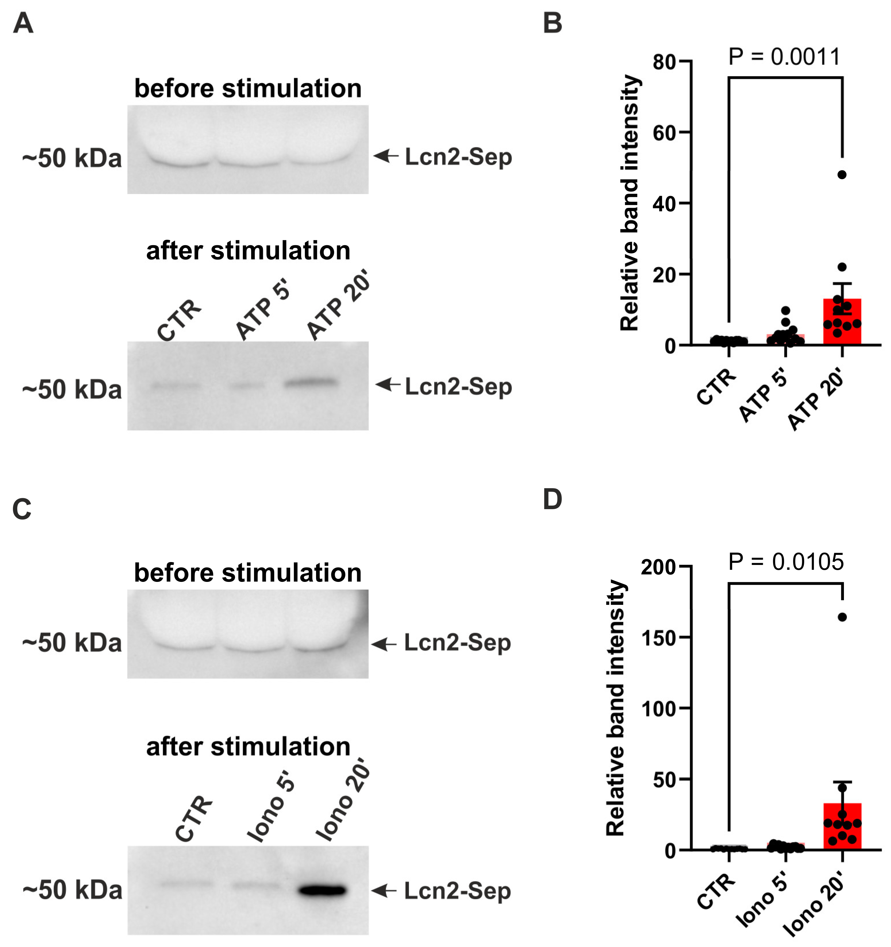 Preprints 138092 g004