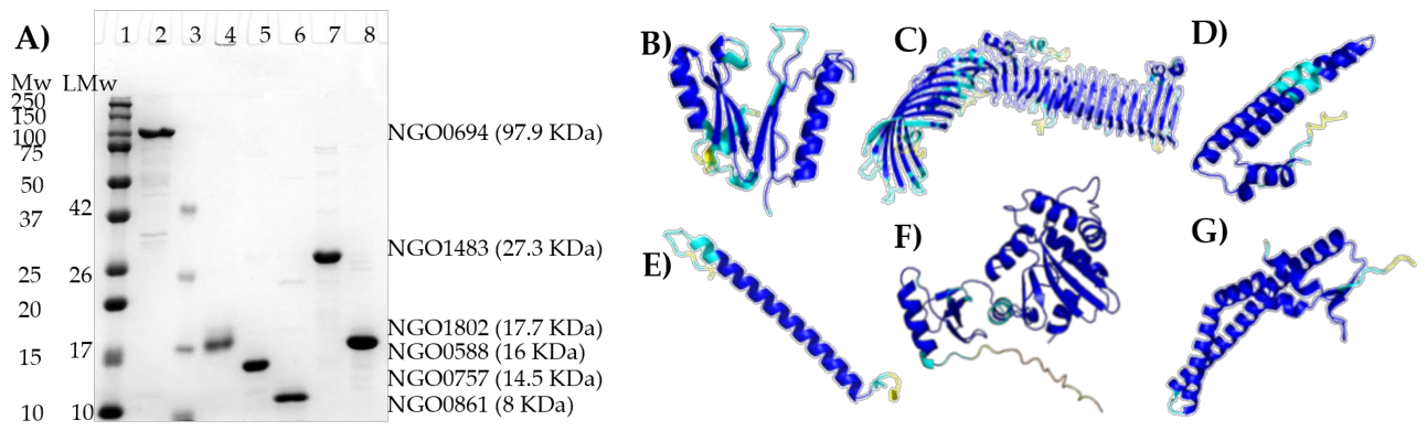 Preprints 229277 g001