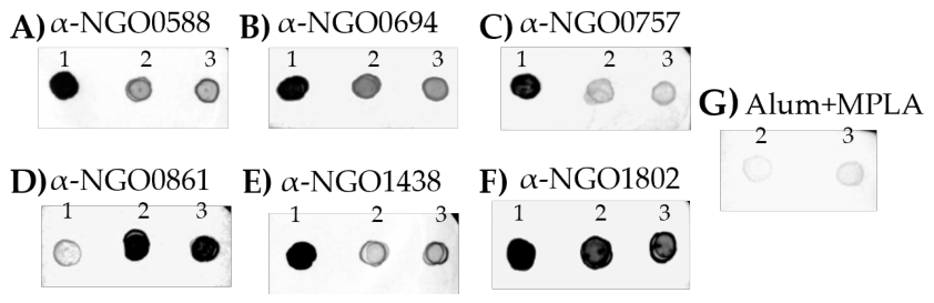 Preprints 229277 g002